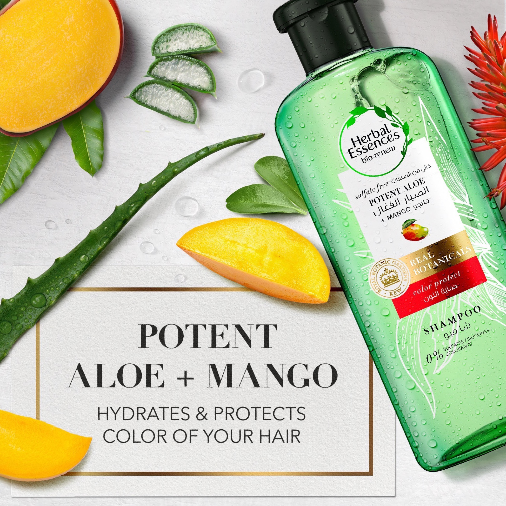 Herbal Essences KEW Mango Shampoo - 400 ml-beautyandpersonalcare-hair-haircare-shampoos-image-2