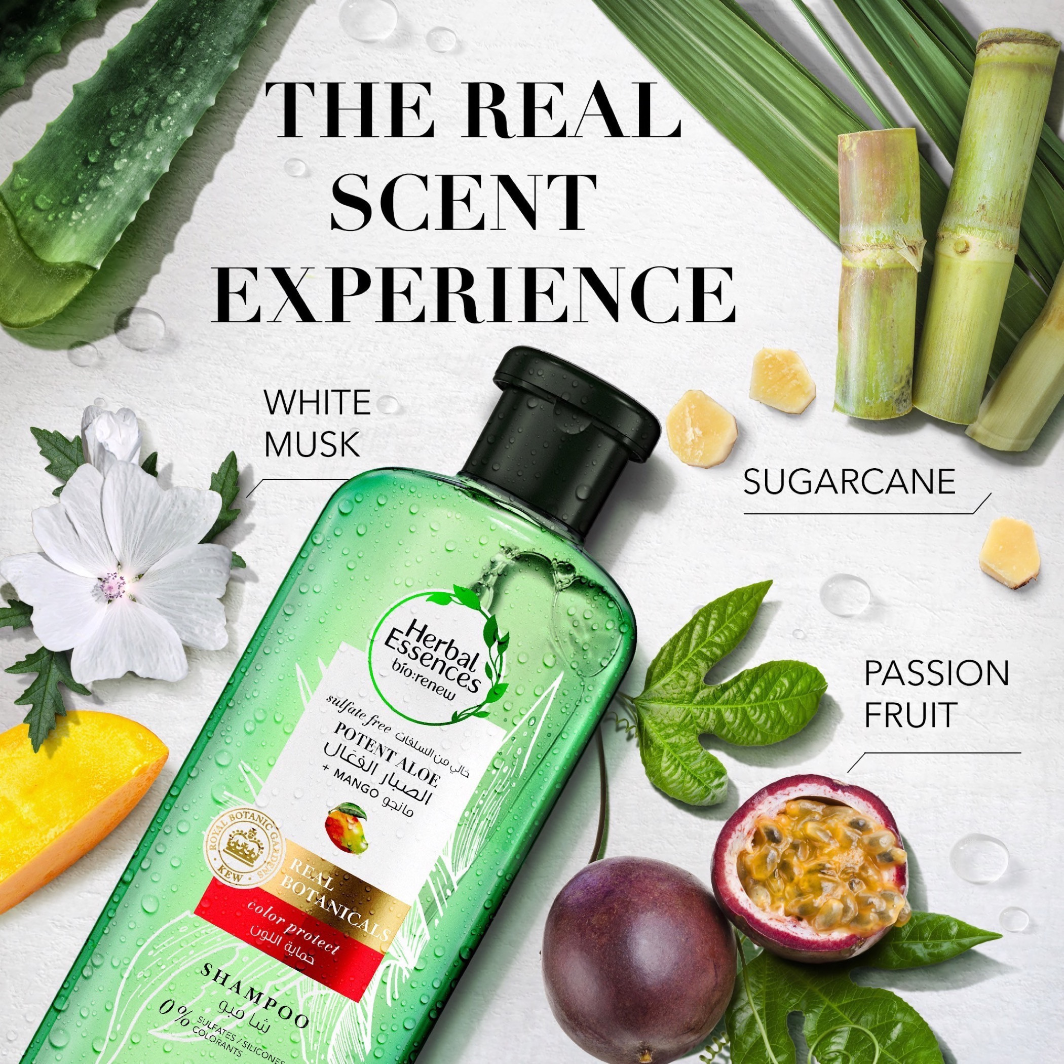 Herbal Essences KEW Mango Shampoo - 400 ml-beautyandpersonalcare-hair-haircare-shampoos-image-5