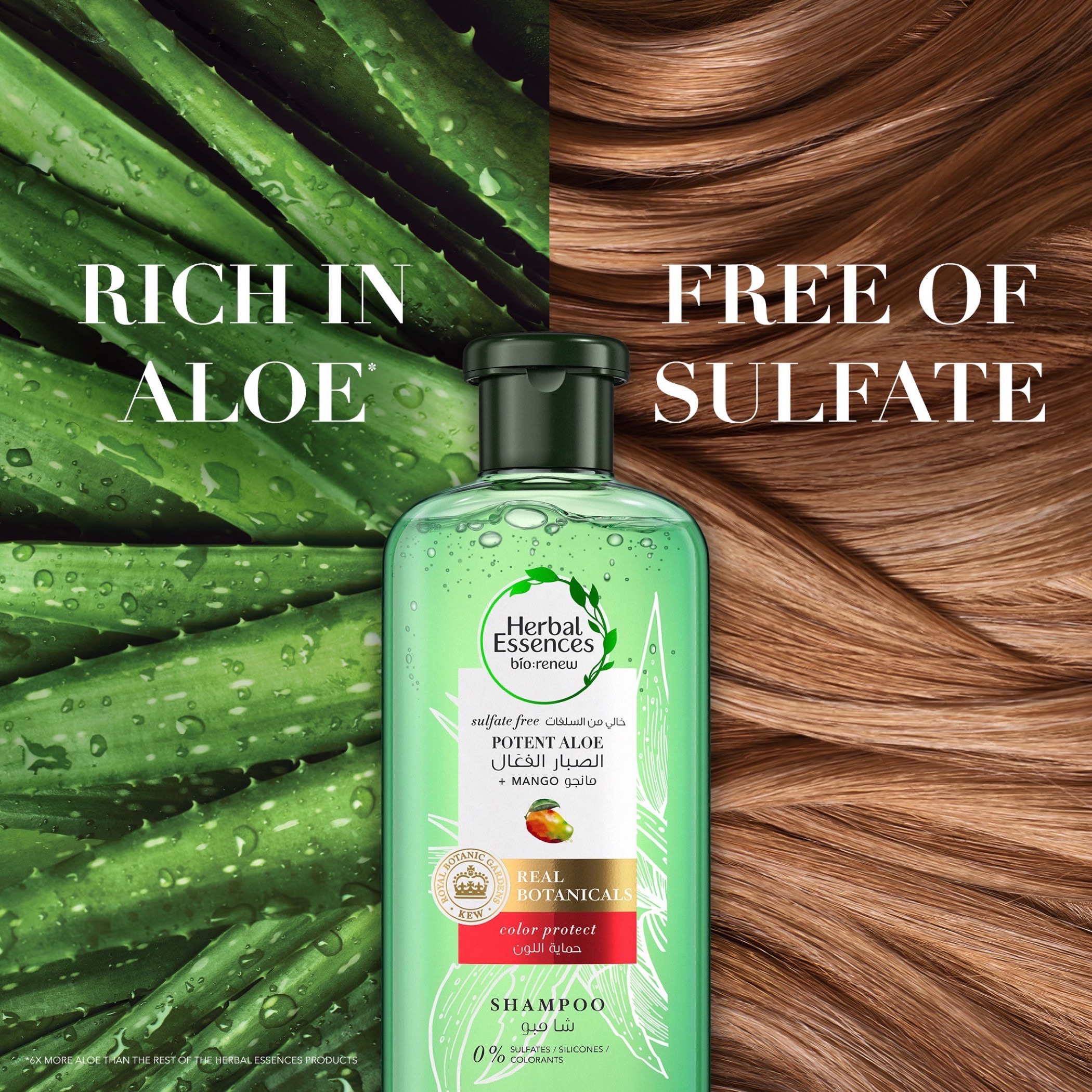 Herbal Essences KEW Mango Shampoo - 400 ml-beautyandpersonalcare-hair-haircare-shampoos-image-6