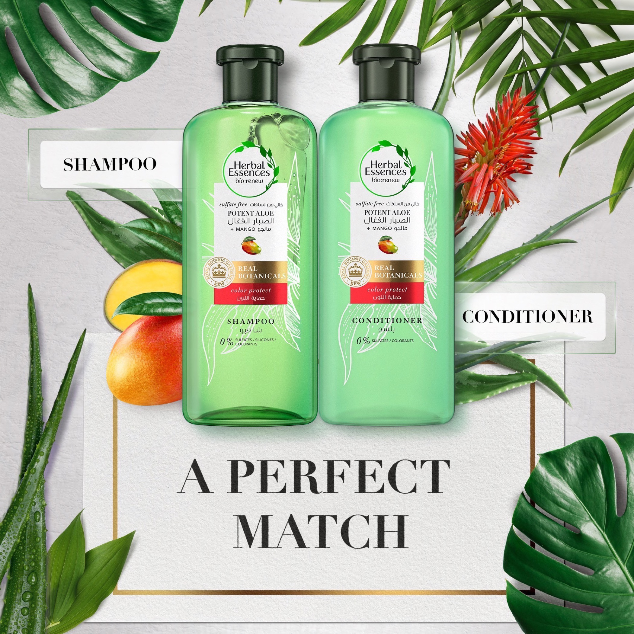 Herbal Essences KEW Mango Shampoo - 400 ml-beautyandpersonalcare-hair-haircare-shampoos-image-7