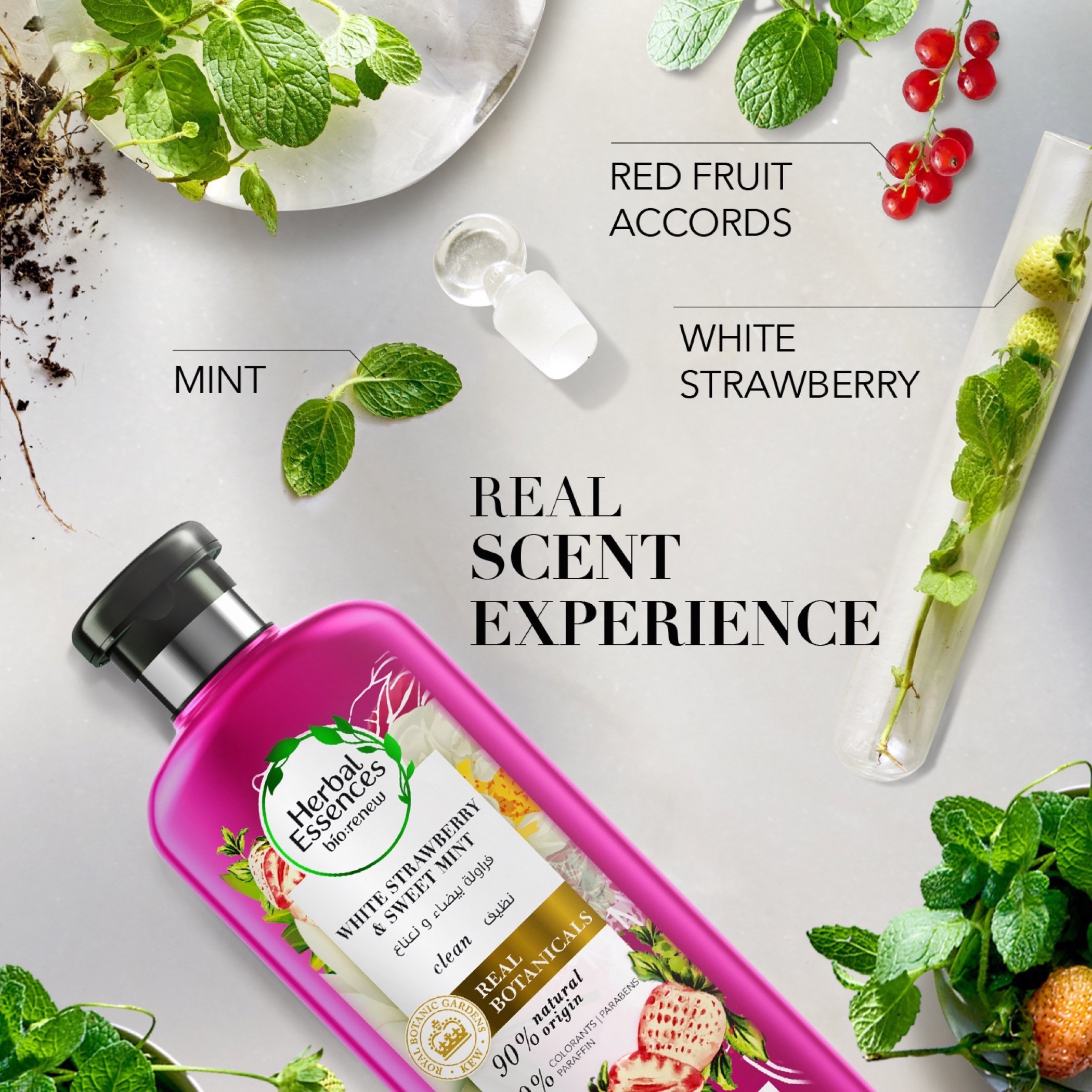 Herbal Essences Strawberry & Mint Conditioner - 400 ml-beautyandpersonalcare-hair-haircare-conditioners-image-3