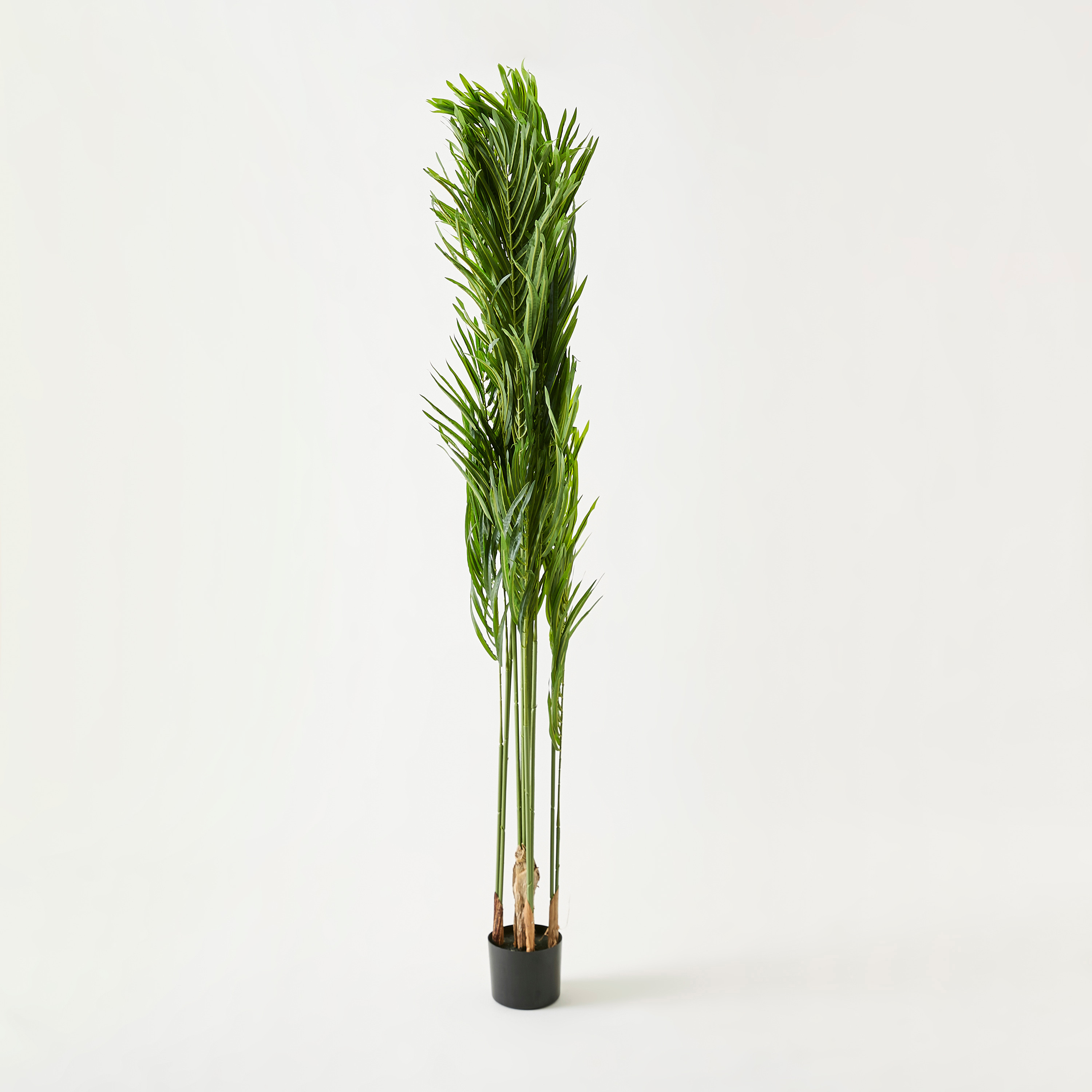 Tree with Pot - 89x89x170 cms-household-gardenandoutdoor-potsandplanters-image-1