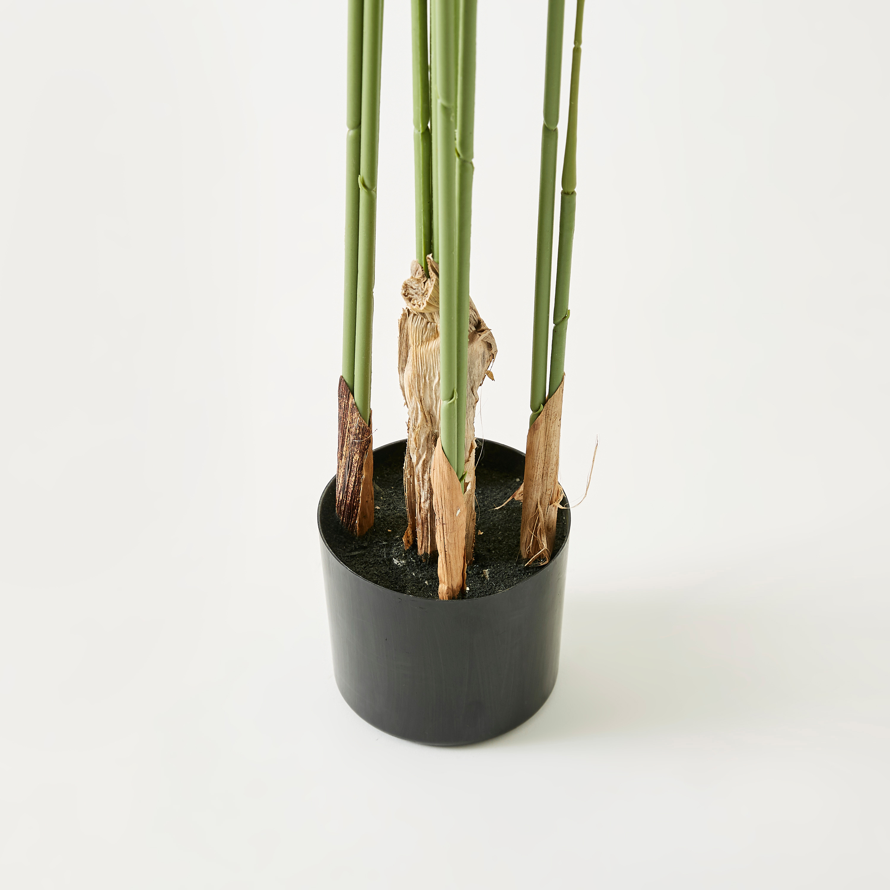 Tree with Pot - 89x89x170 cms-household-gardenandoutdoor-potsandplanters-image-3