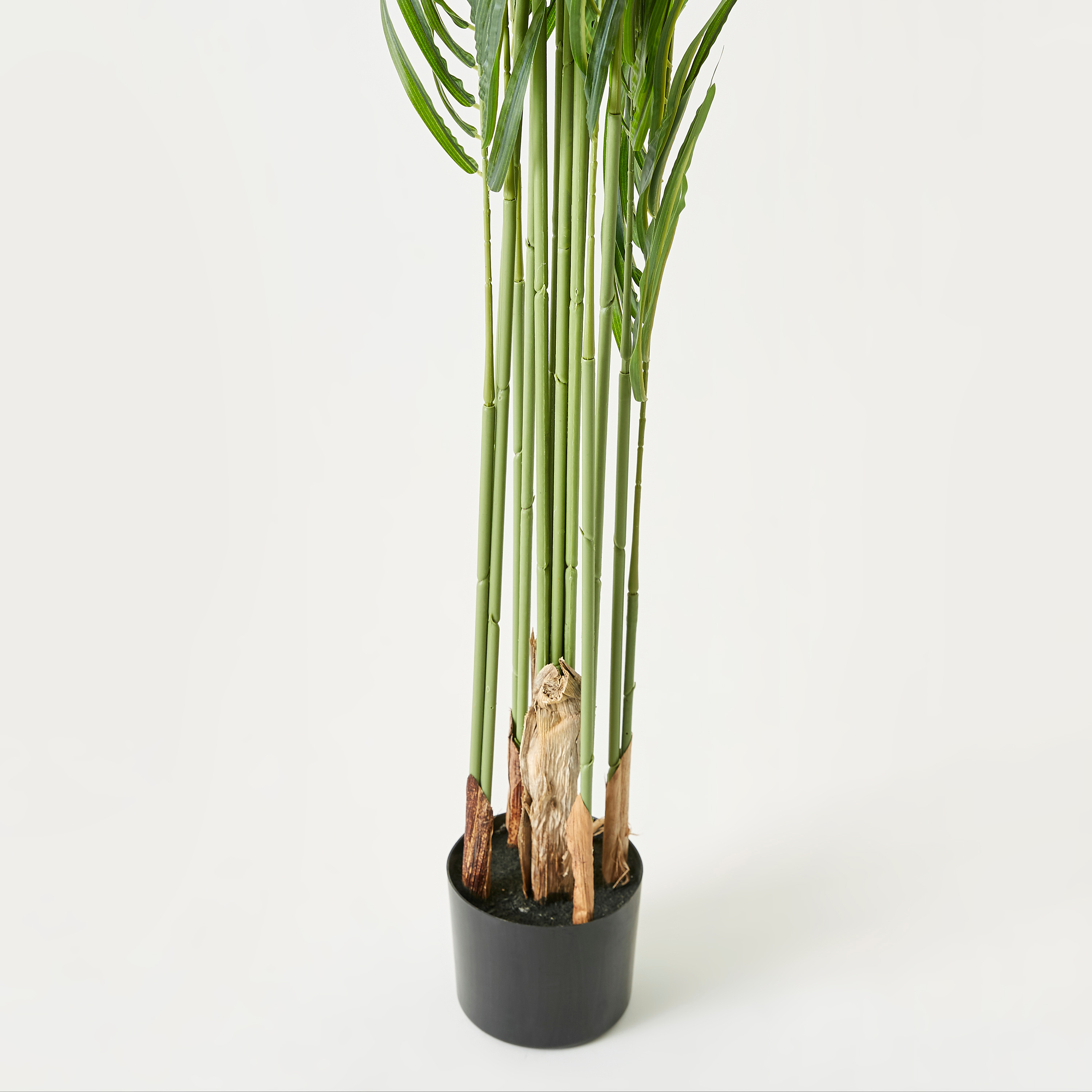 Tree with Pot - 89x89x170 cms-household-gardenandoutdoor-potsandplanters-image-4