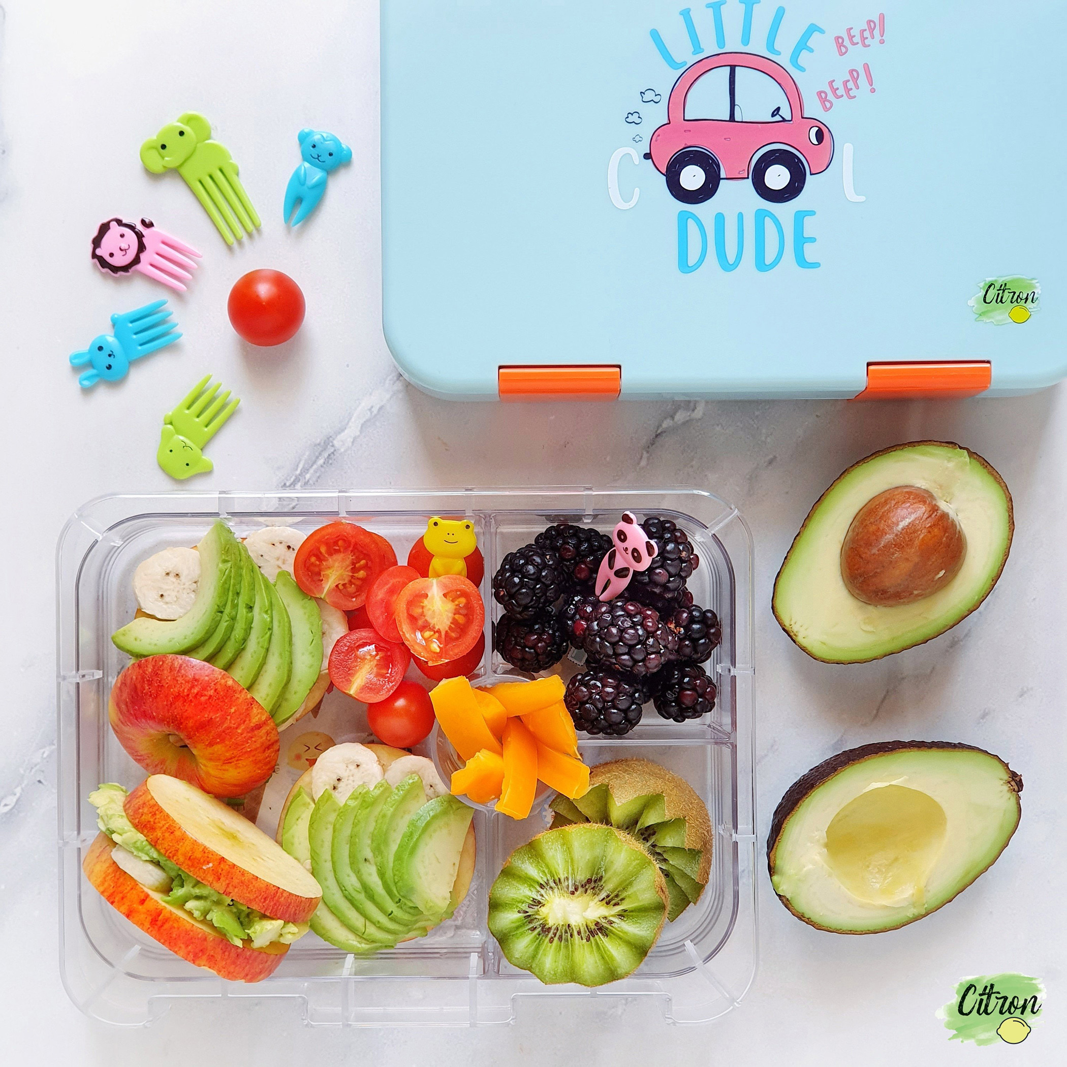 طقم صندوق غداء بـ 4 أقسام وطبعات كارز من سيترون-school-lunchessentials-lunchboxes-image-6