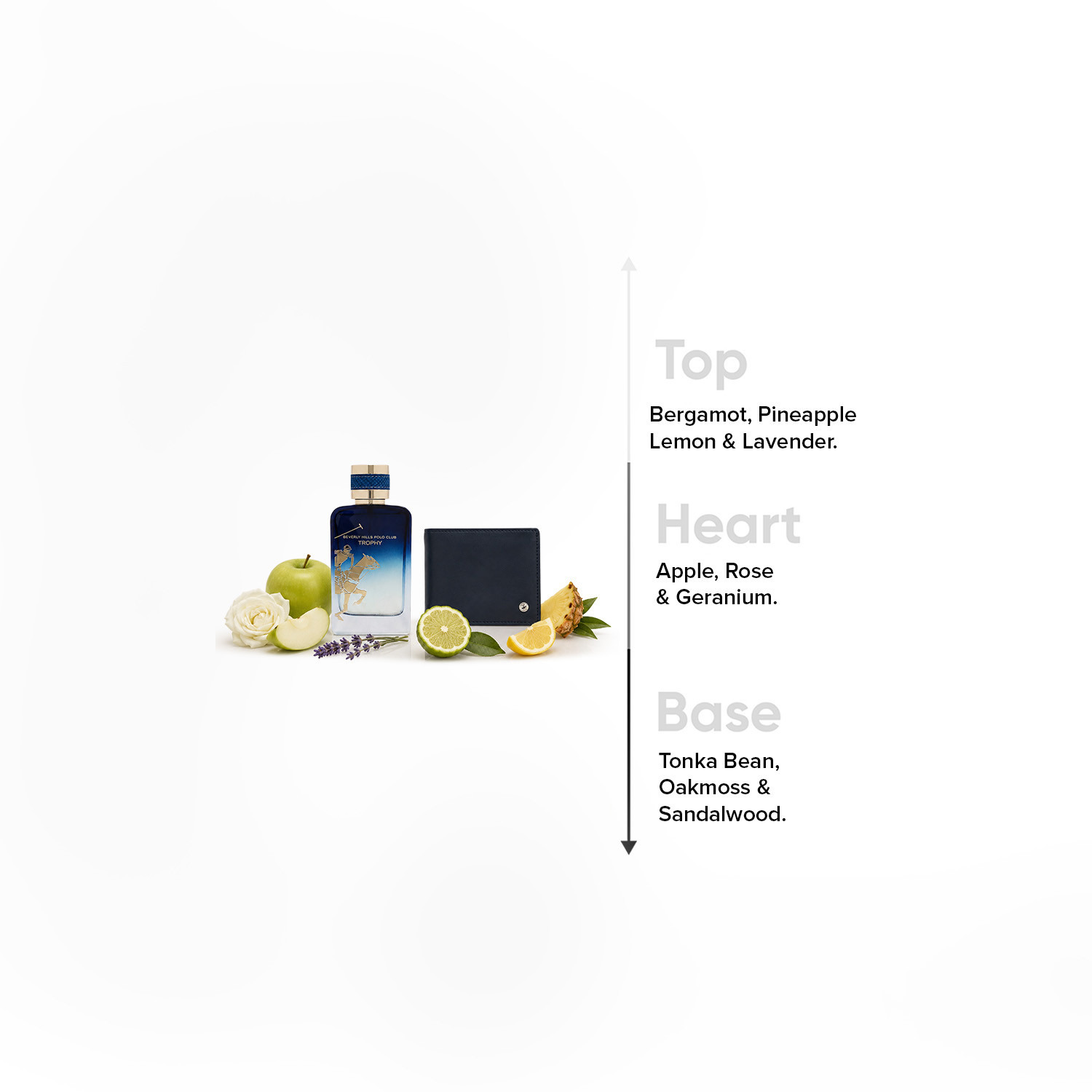 طقم هدايا تروفي قطعتين من بيفرلي هيلز بولو كلوب-beautyandpersonalcare-fragrance-men-image-4