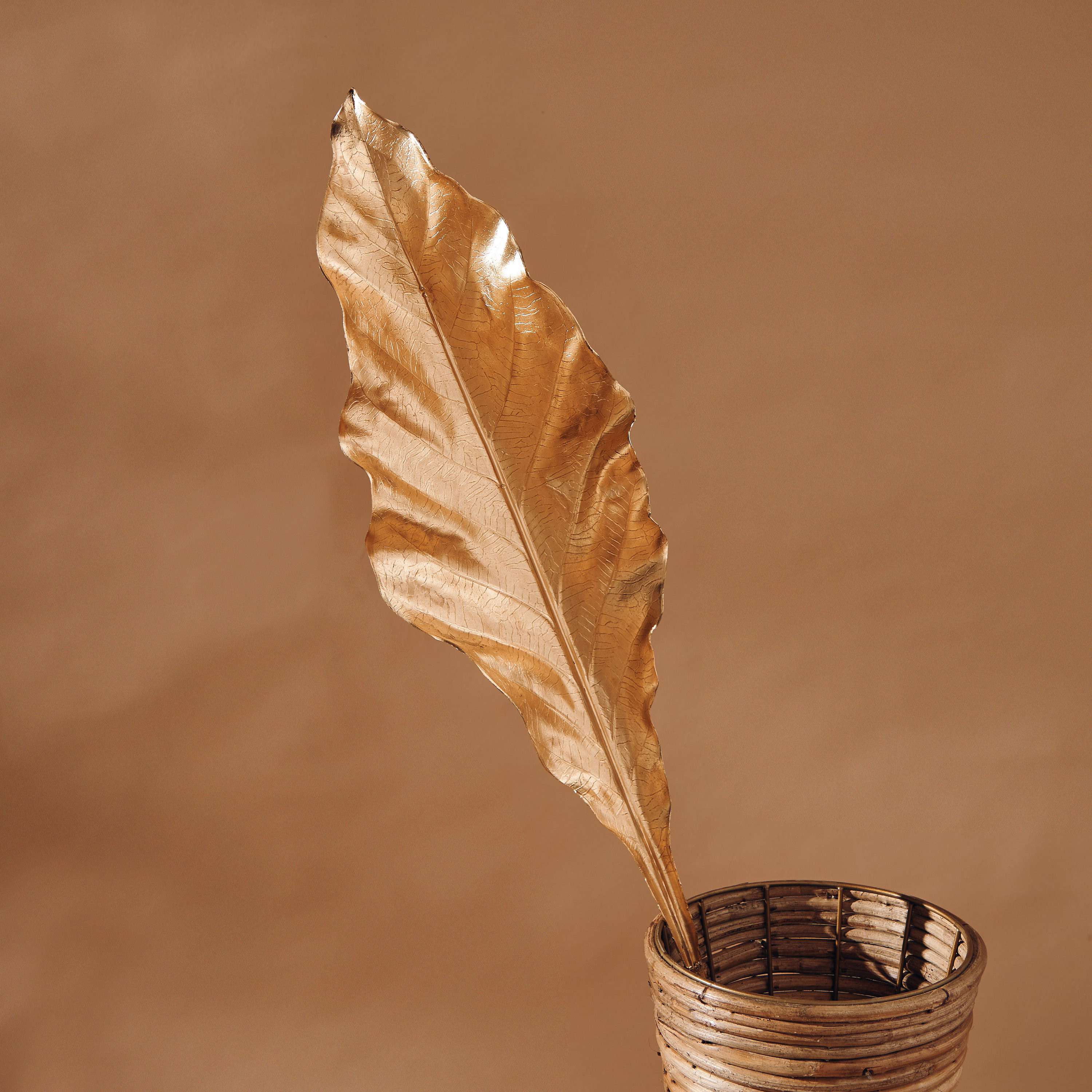 Decorative Leaf-household-gardenandoutdoor-artificialflowersandplants-flowers-image-2