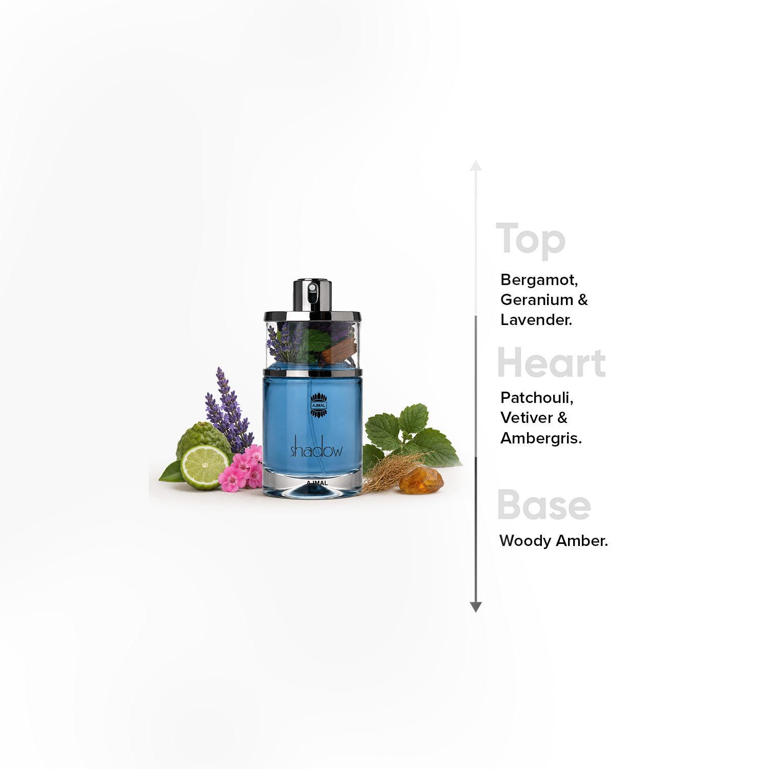 عطر أو دي بارفان شادو للرجال من أجمل - 75 مل-beautyandpersonalcare-fragrance-men-image-4