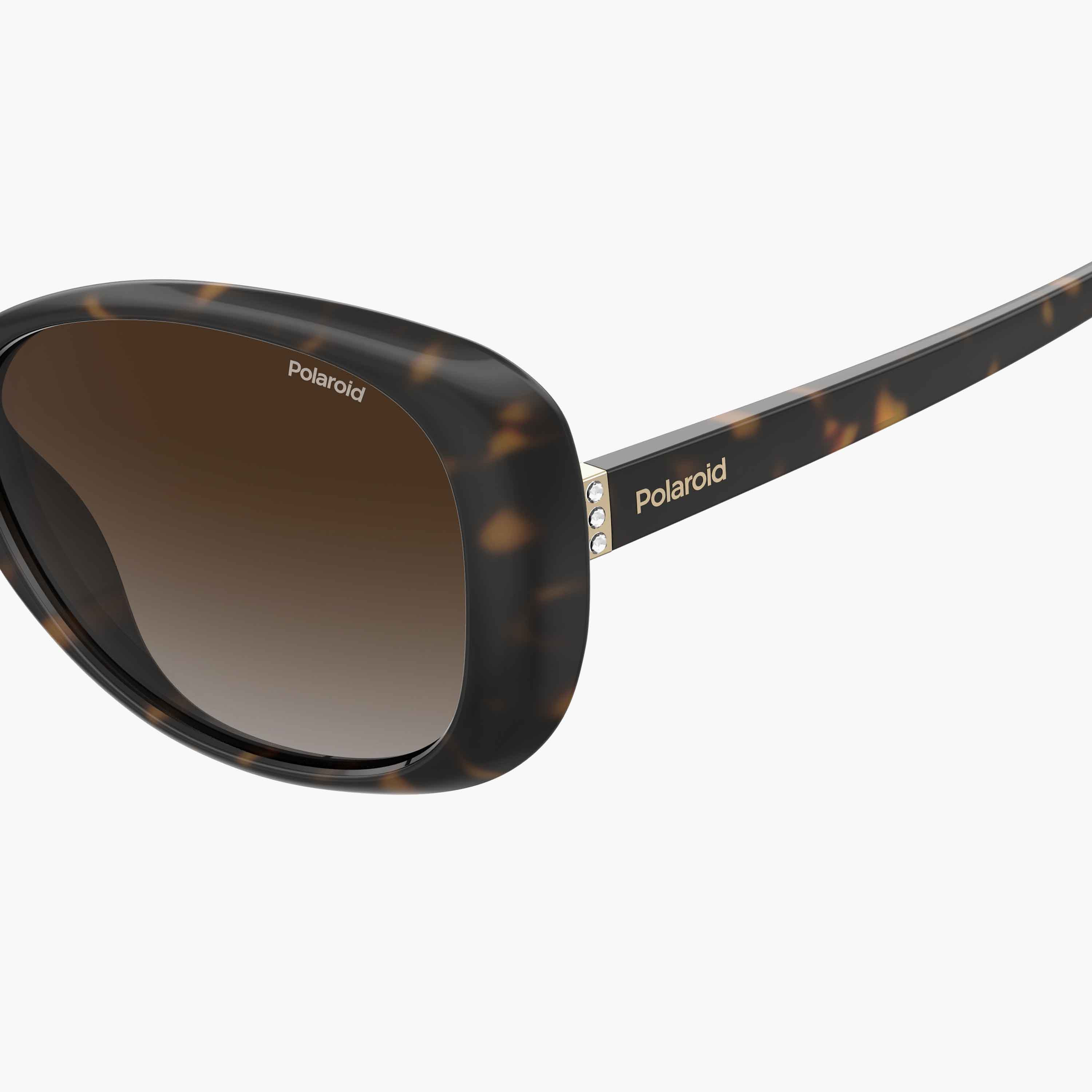 Polaroid Women's Polarized and UV Protected Brown Shaded Lens 58 mm Butterfly Sunglasses | 203421-women-sunglasses-image-4