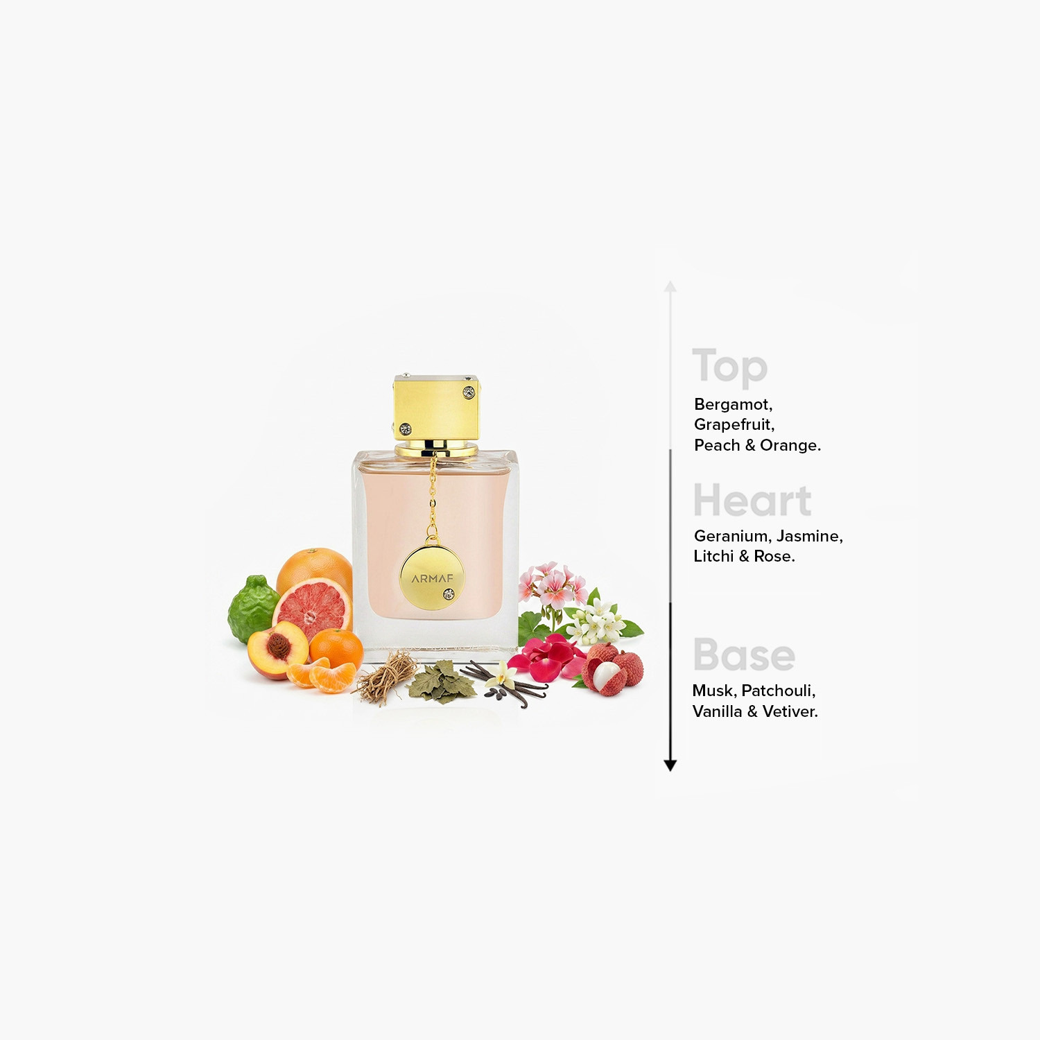عطر مركّز كلوب دي نوي للنساء من أرماف للنساء - 105 مل-beautyandpersonalcare-fragrance-women-image-4