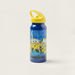 Simba Minions Print Water Bottle with Sipper-Water Bottles-thumbnail-0