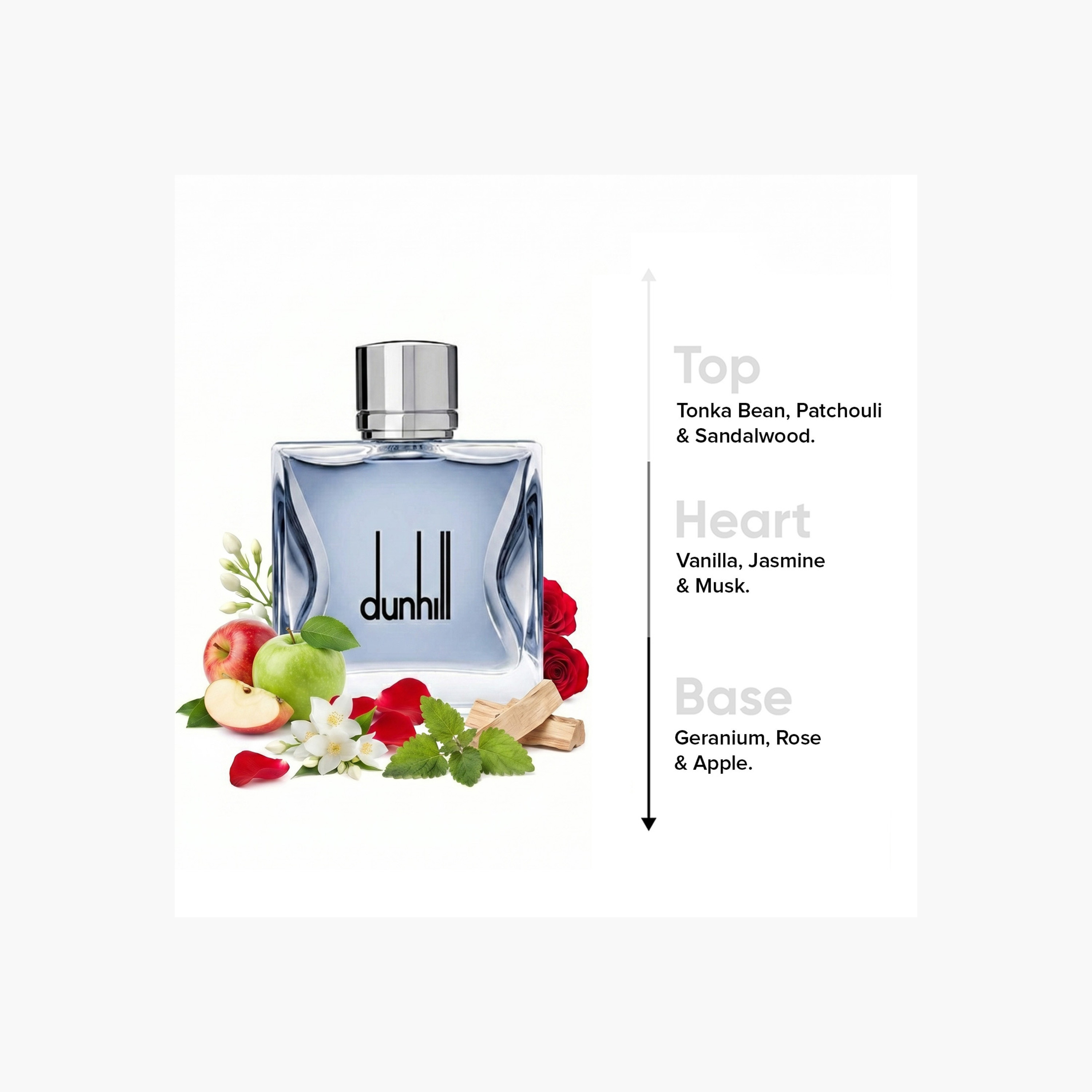 أو دي تواليت دانهيل لندن - 100 مل-beautyandpersonalcare-fragrance-men-image-4