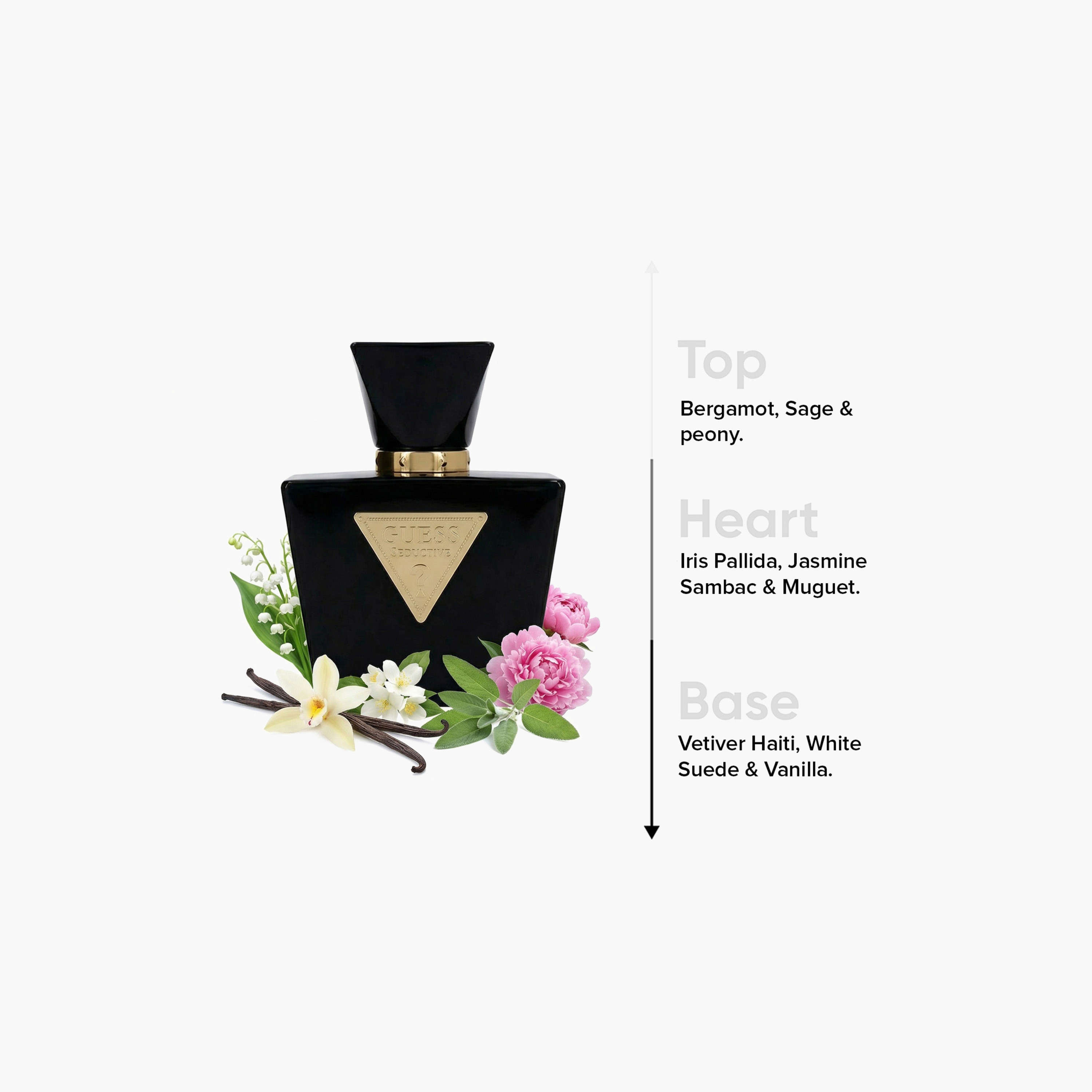 Guess Seductive Noir Eau De Toilette Spray - 75 ml-beautyandpersonalcare-fragrance-unisex-image-4