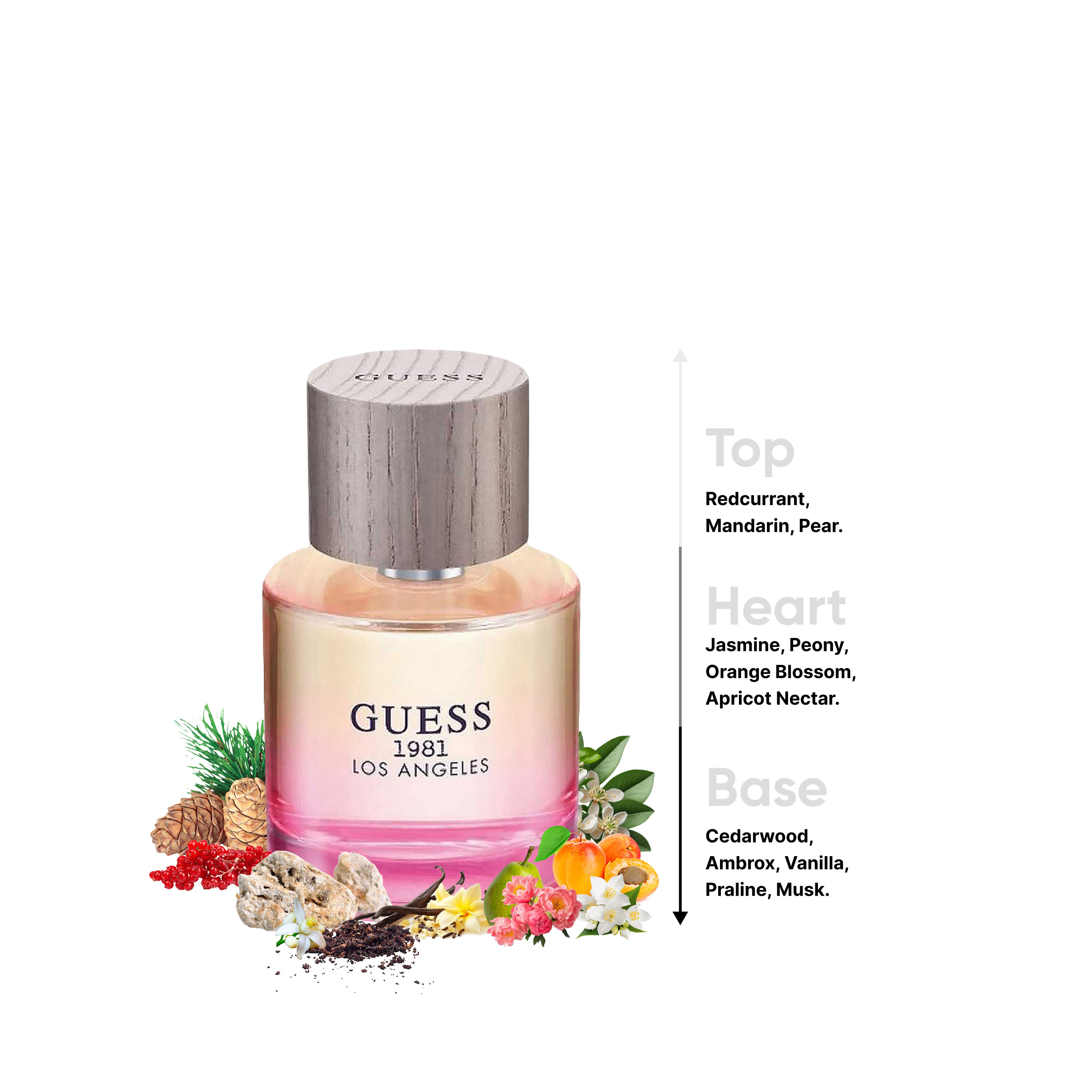 Guess Women's 1981 Los Angeles Eau De Toilette Spray - 100 ml-beautyandpersonalcare-fragrance-men-image-4