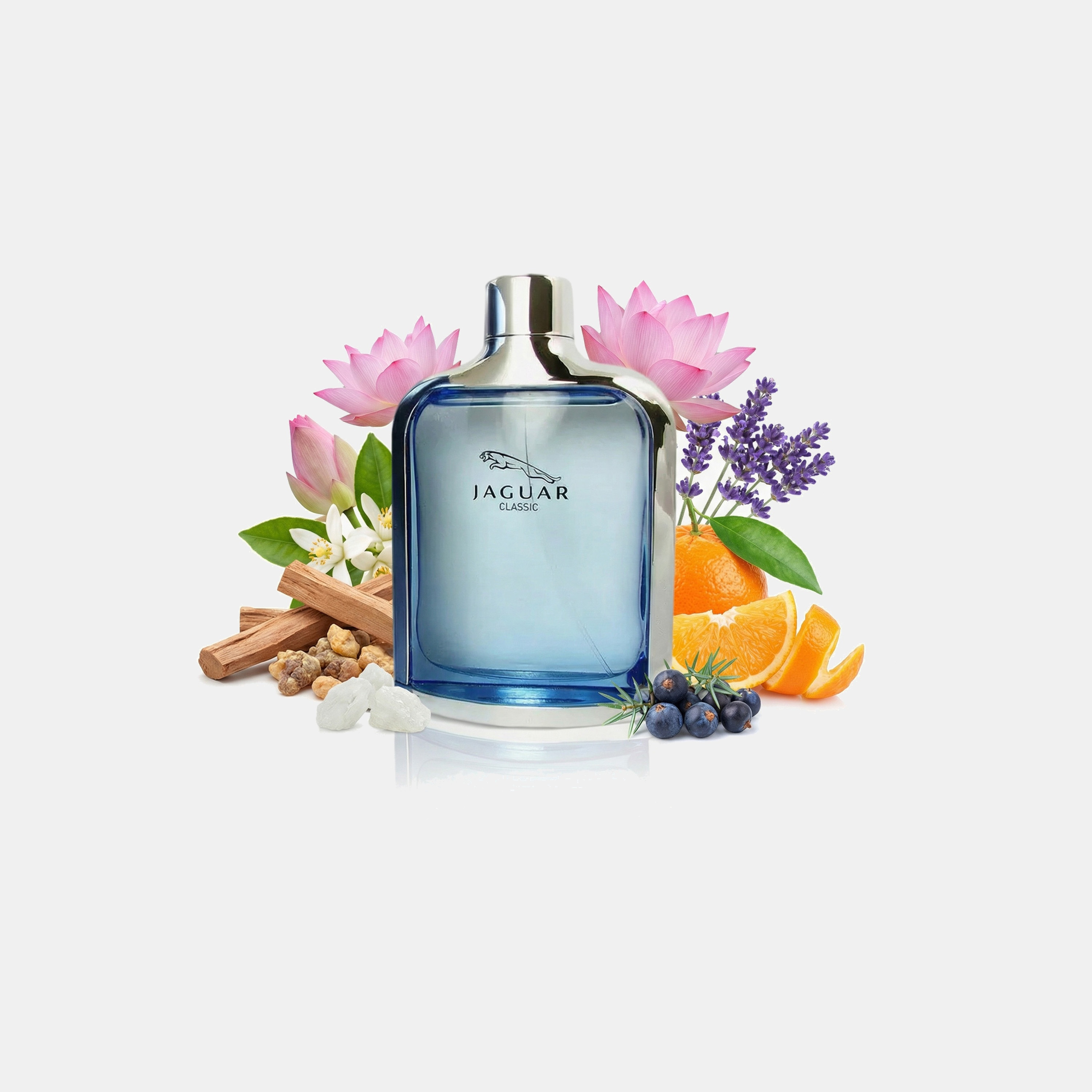Jaguar Classic Blue Natural Spray for Men - 100 ml-beautyandpersonalcare-fragrance-unisex-image-3