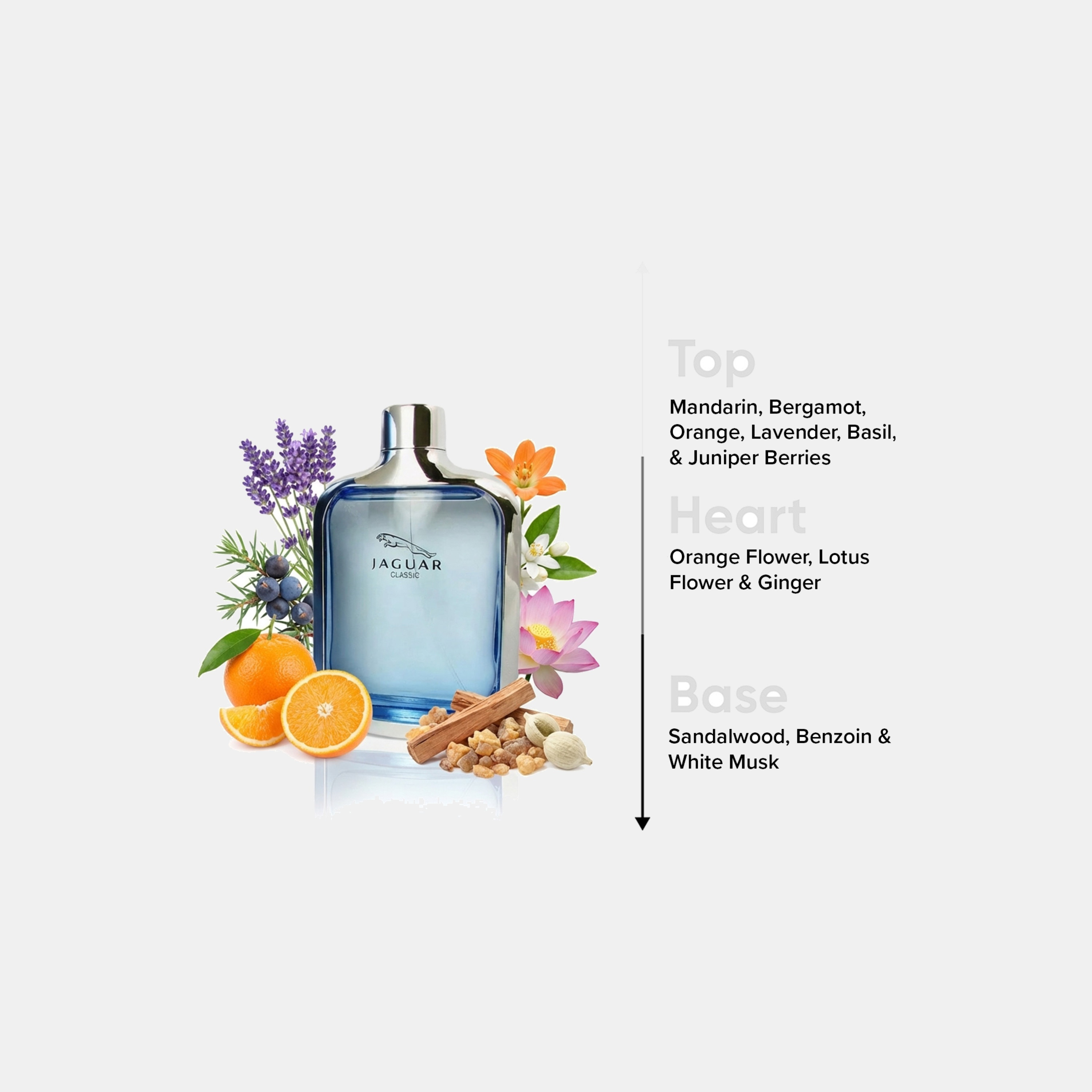 Jaguar Classic Blue Natural Spray for Men - 100 ml-beautyandpersonalcare-fragrance-unisex-image-4