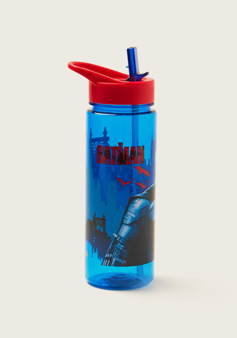 Batman Print Water Bottle - 650 ml-Water Bottles-image-1