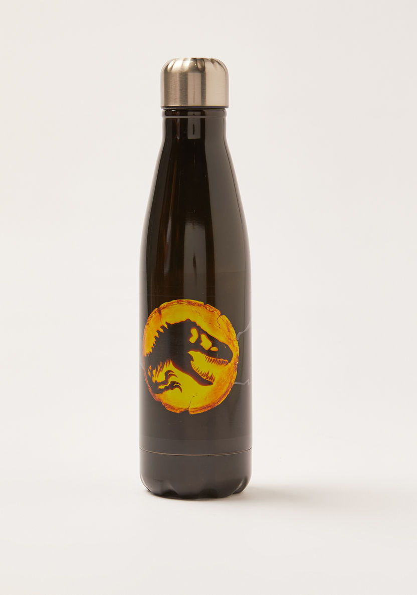 Jurassic World Printed Stainless Water Bottle-Water Bottles-image-0