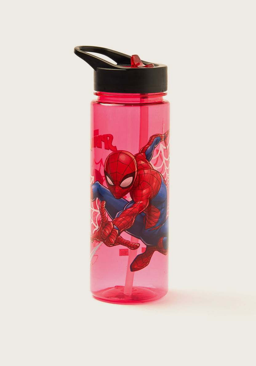 First Kid Spider-Man Print Water Bottle - 650 ml-Water Bottles-image-0