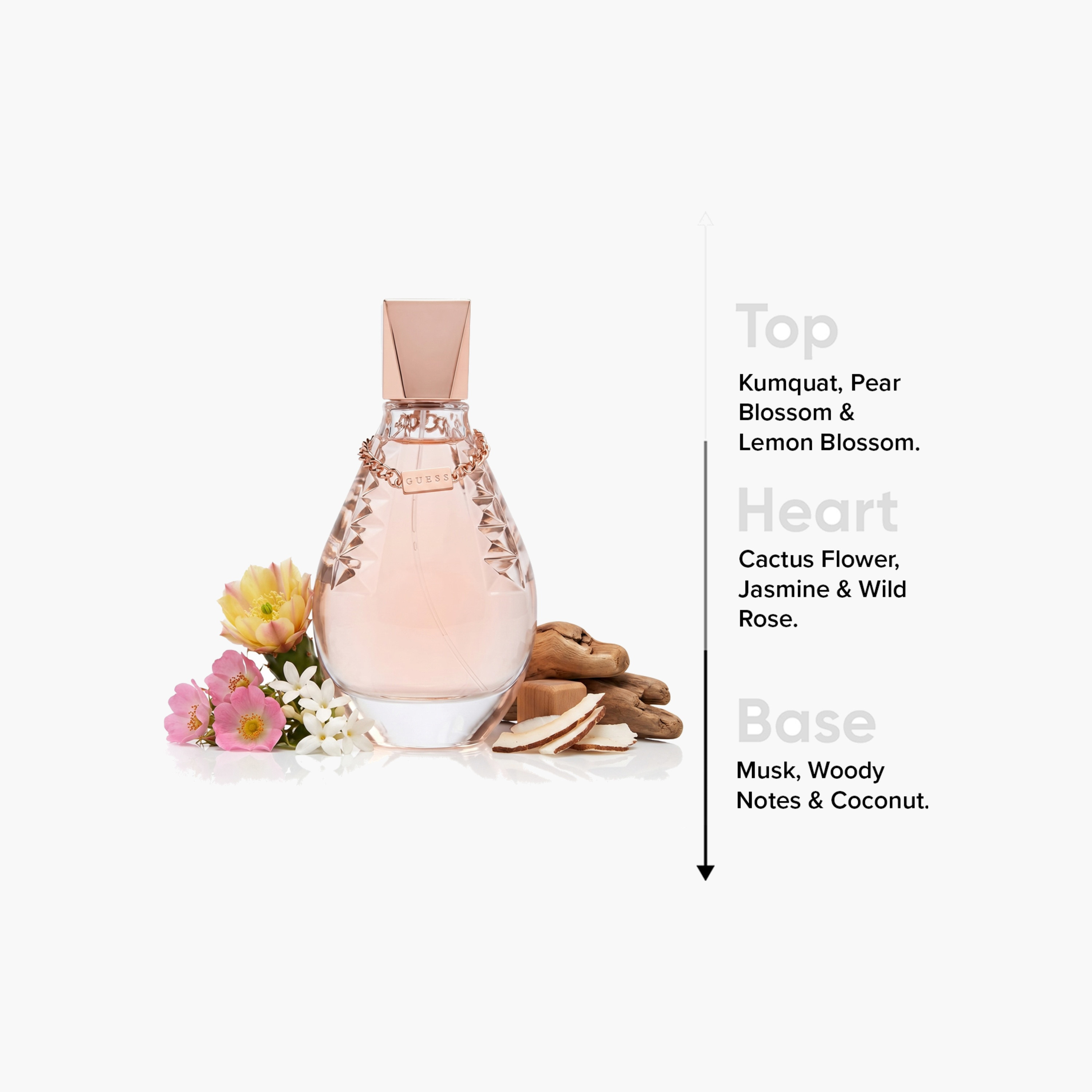 Guess Dare Eau de Toilette for Women - 100 ml-beautyandpersonalcare-fragrance-women-image-4