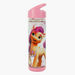 SunCe My Little Pony Print Water Bottle - 500 ml-Water Bottles-thumbnail-1