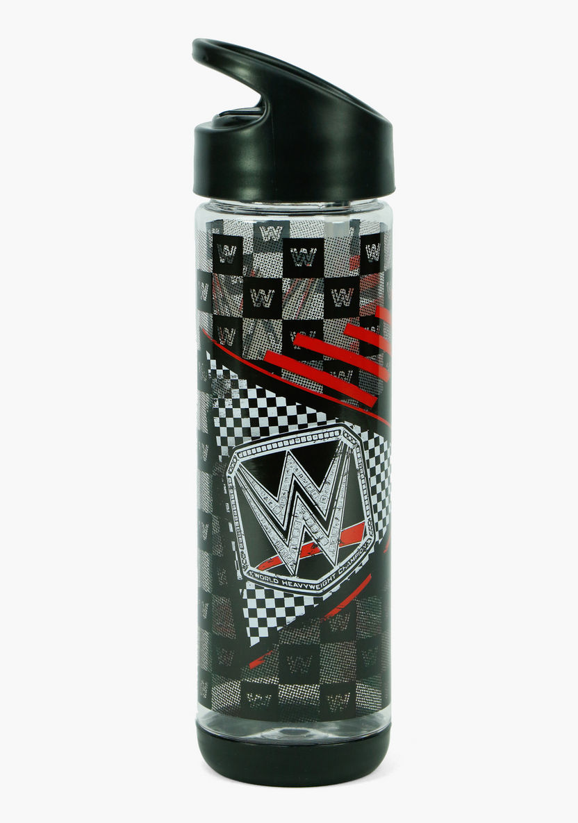 WWE Printed Water Bottle with Straw - 500 ml-Water Bottles-image-0