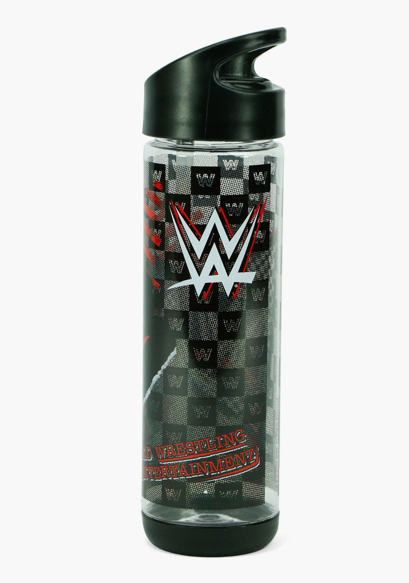 WWE Printed Water Bottle with Straw - 500 ml-Water Bottles-image-2