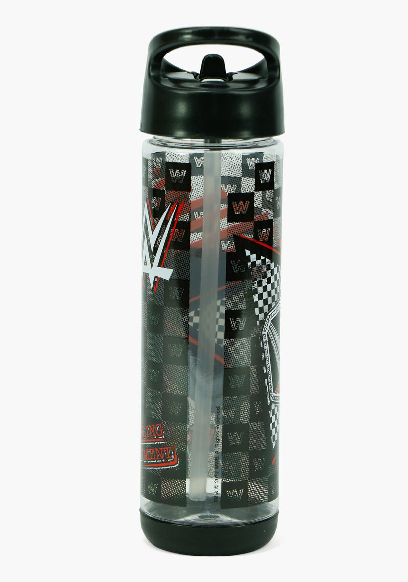 WWE Printed Water Bottle with Straw - 500 ml-Water Bottles-image-3