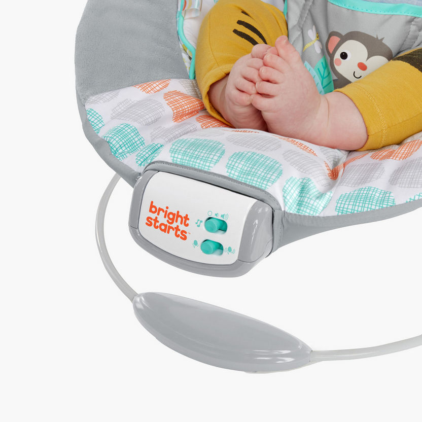 Bright Starts Bouncer-Infant Activity-image-4