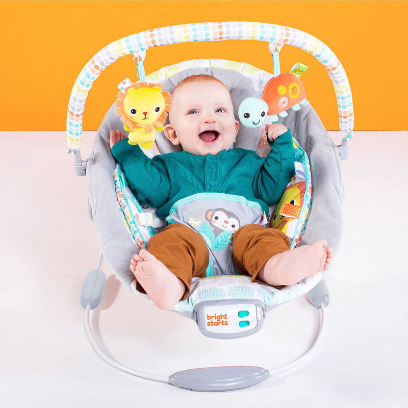 Bright Starts Bouncer-Infant Activity-image-7