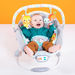 Bright Starts Bouncer-Infant Activity-thumbnailMobile-7