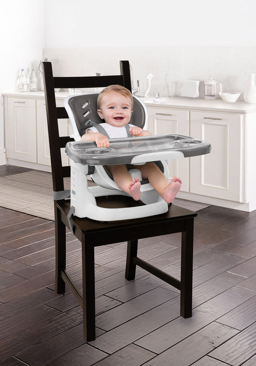 Ingenuity High Chair-High Chairs and Boosters-image-2