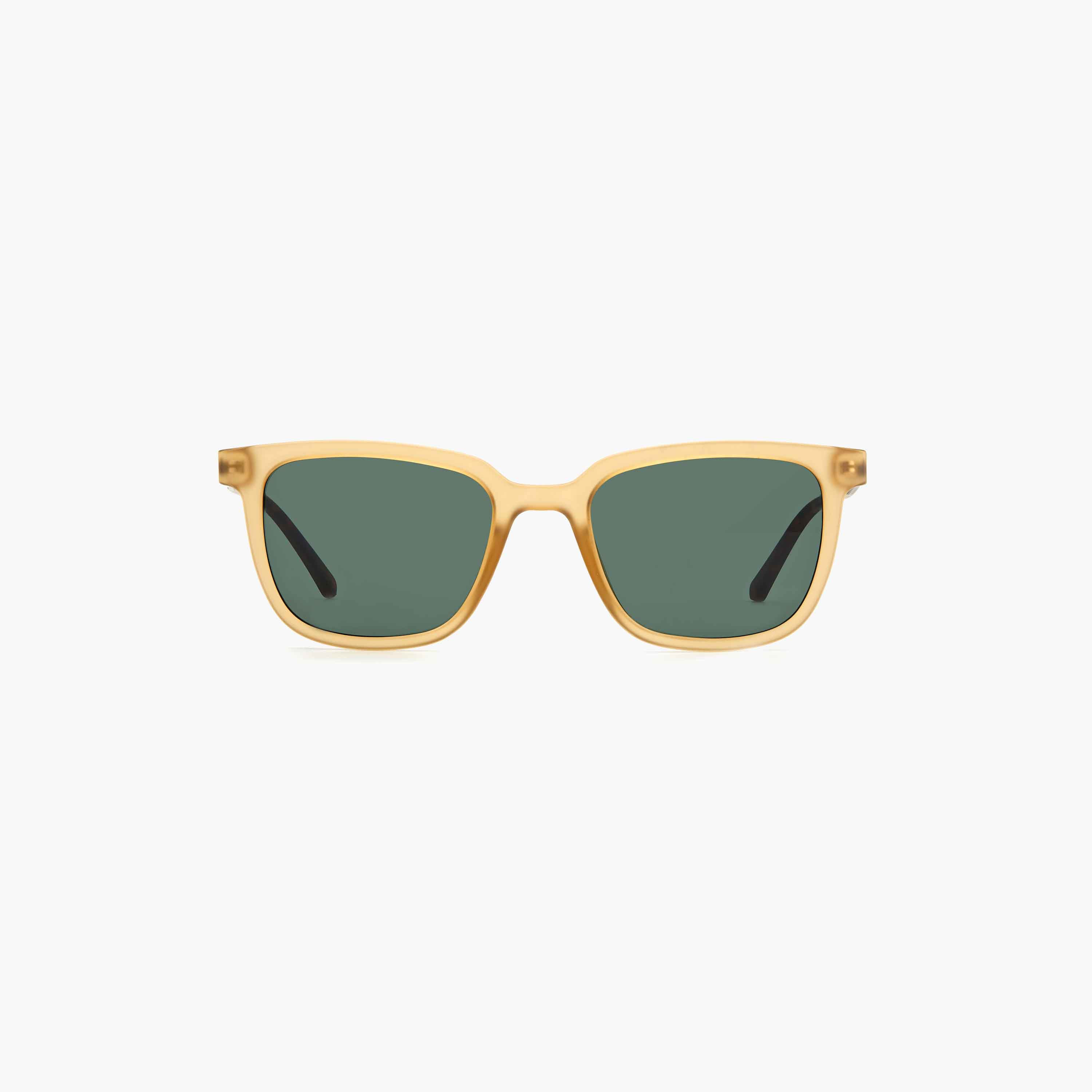 Fossil UV Protected Green Lens 54 mm Square Sunglasses | 204697-men-sunglasses-image-3
