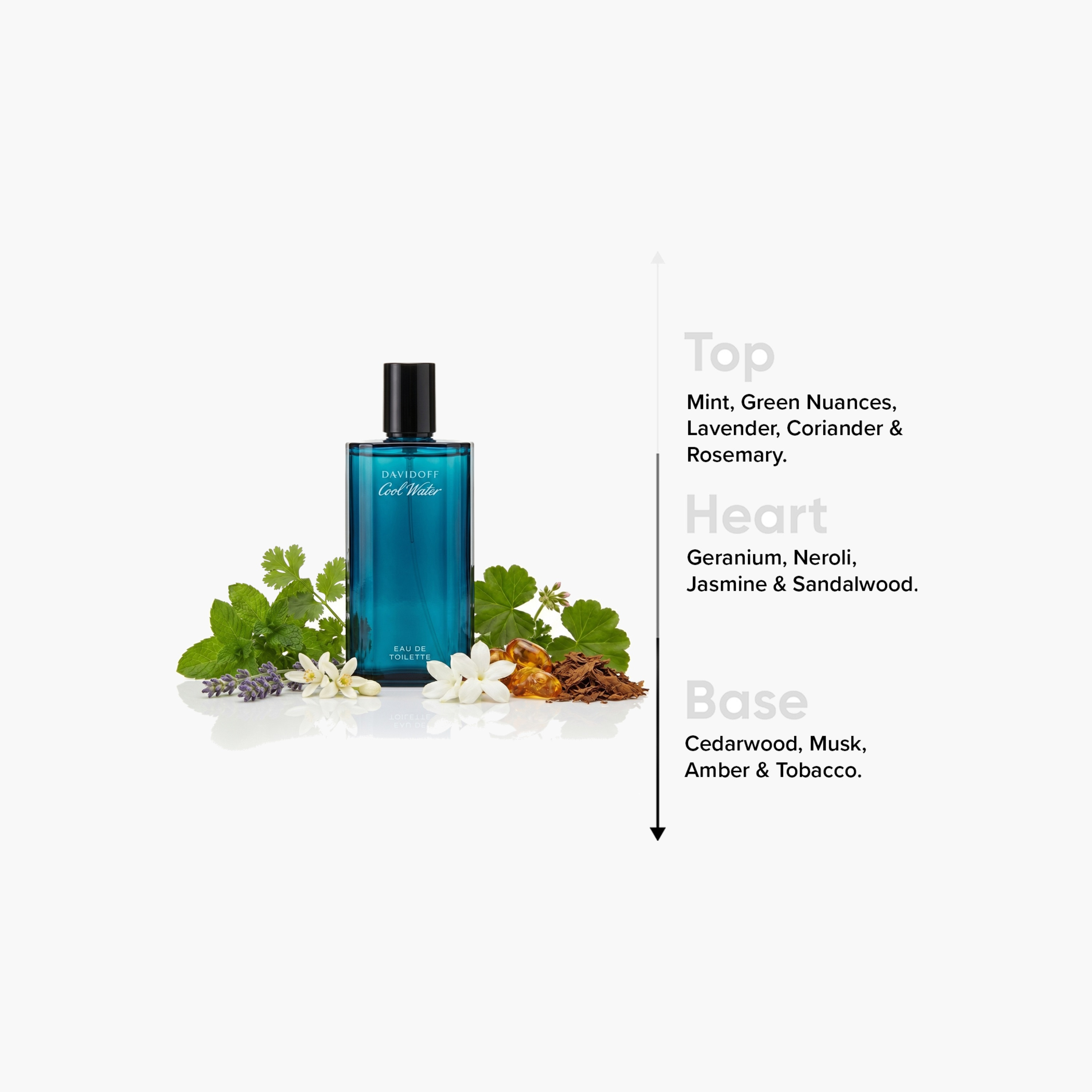 Cool Water Eau De Toilette for Men - 125 ml-beautyandpersonalcare-fragrance-men-image-4
