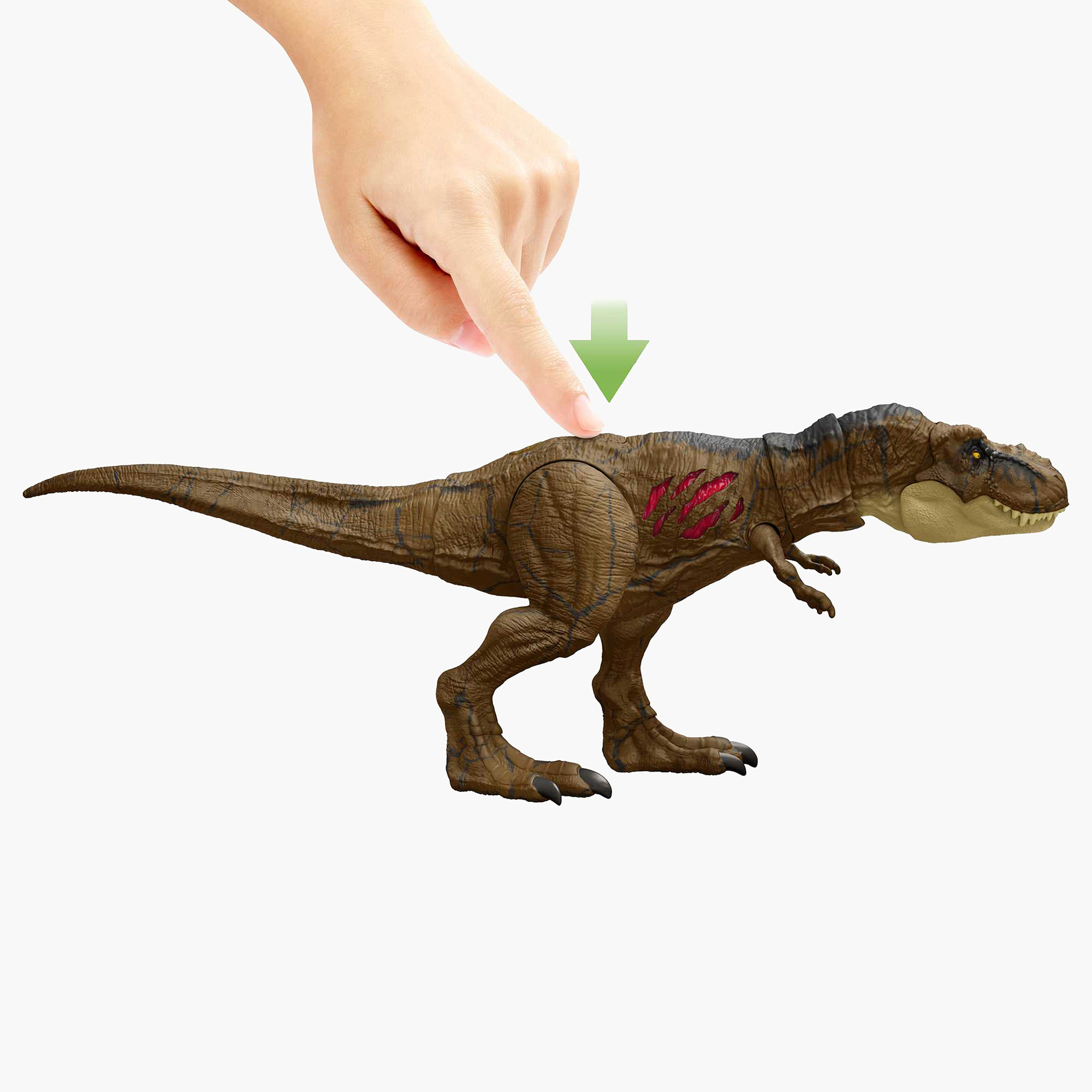 Plastic t hot sale rex