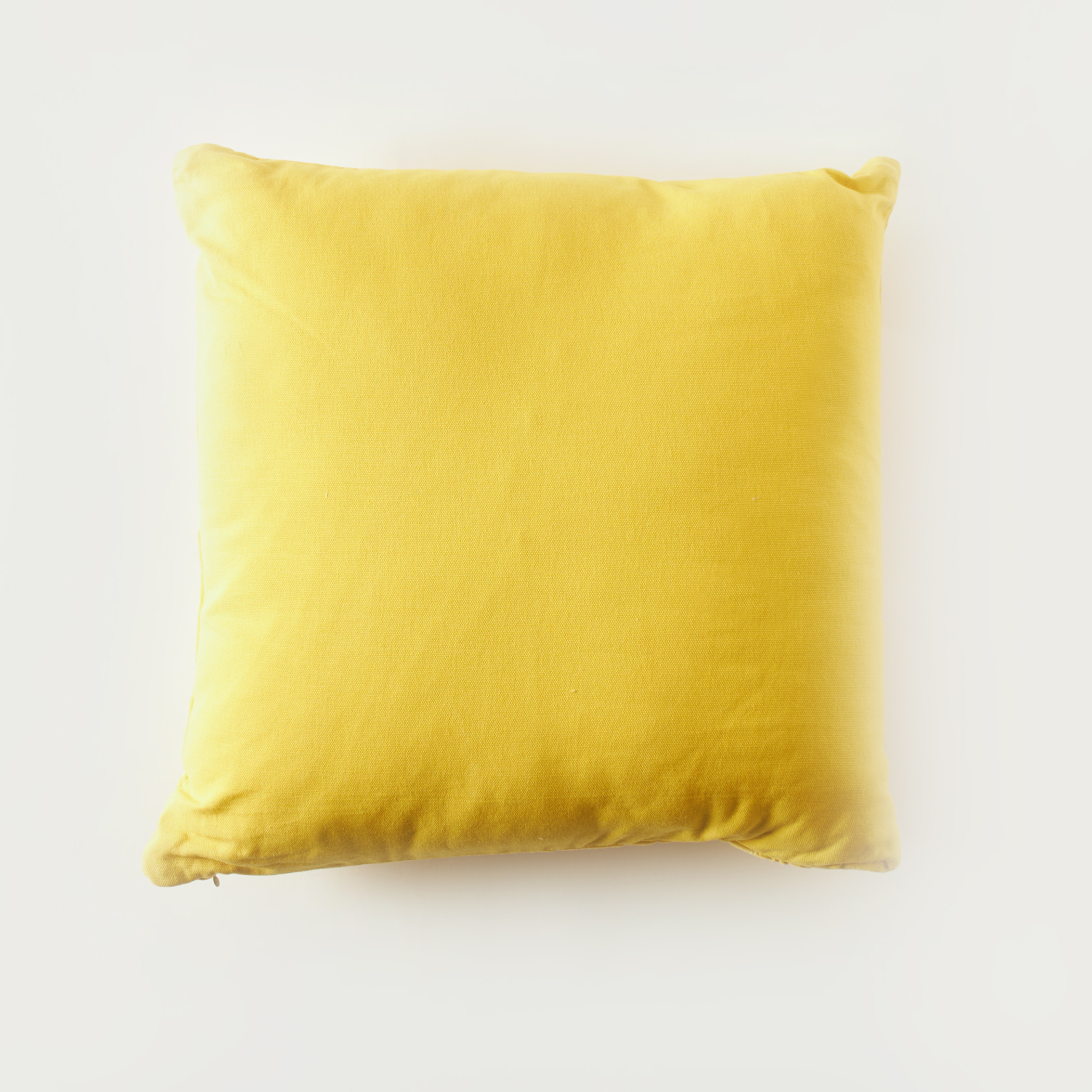 وسادة مخملية مبطنة محشوة بسحاب إغلاق - 45x45 سم-household-cushionsandthrows-cushioncovers-image-2