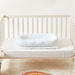 Giggles Bed in Bed - 80x46x14 cms-Crib Accessories-thumbnail-1