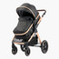 Juniors City Multipurpose Stroller with Push Button Folding System, Metal Frame and Wheel Lock-baby-gear-strollersandprams-strollers-image-1