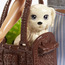 Barbie Doll with Puppy, Bunny and 7 Themed Pieces-toys-dollsandplaysets-dollplaysets-image-5