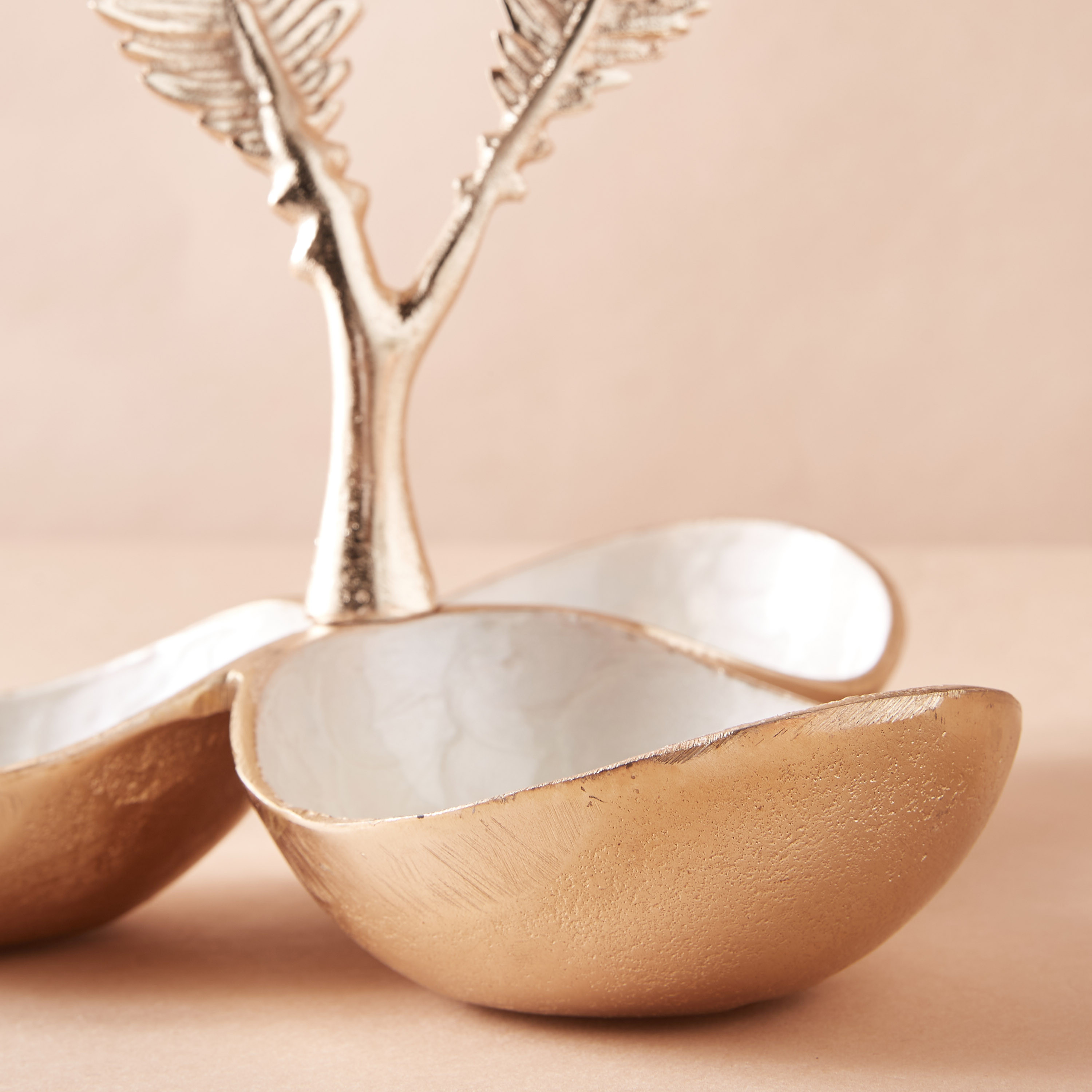 Feathers Accented Decorative Nuts Bowl - 23x22 cms-household-dining-dinnerware-bowls-image-4