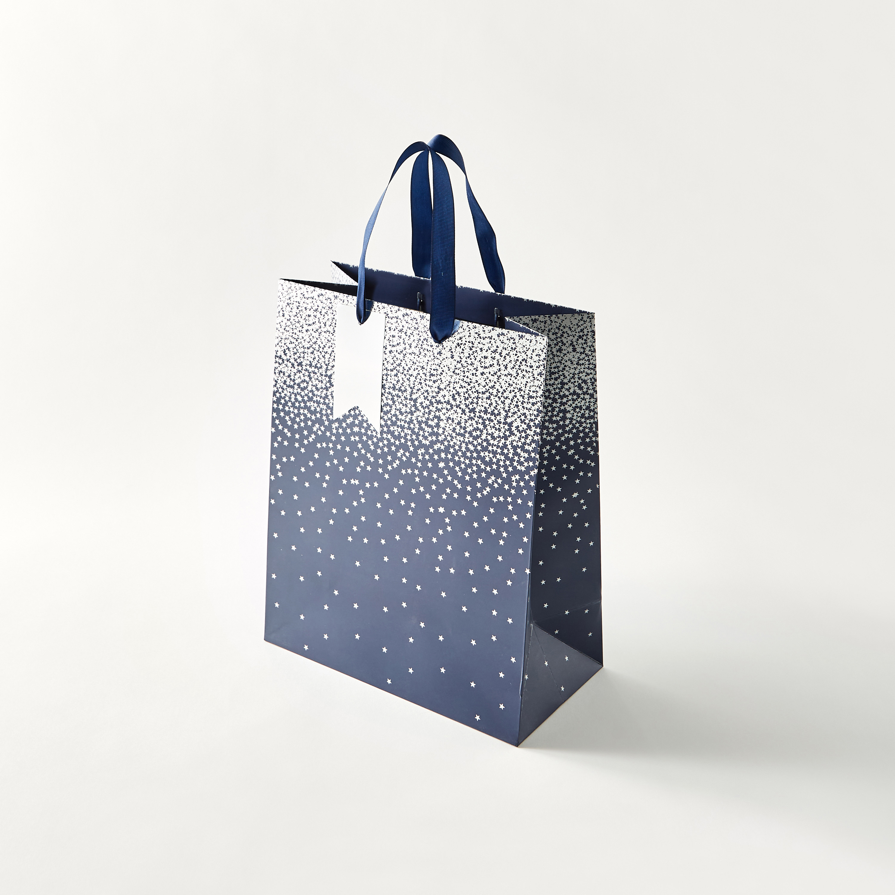 Findz Eurowrap Star Print Paper Gift Bag - Large-household-giftingaccessories-giftings-image-1