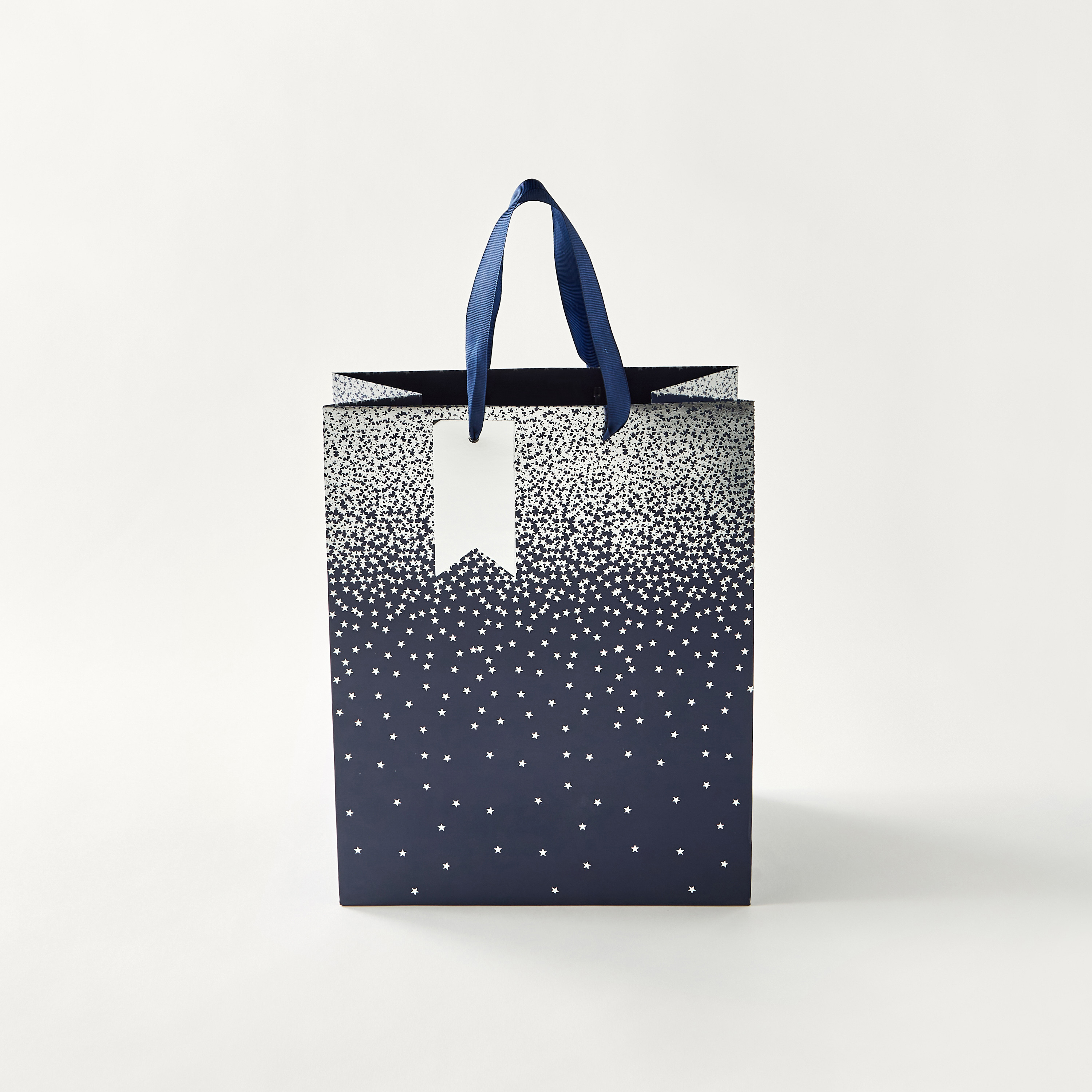 Findz Eurowrap Star Print Paper Gift Bag - Large-household-giftingaccessories-giftings-image-2
