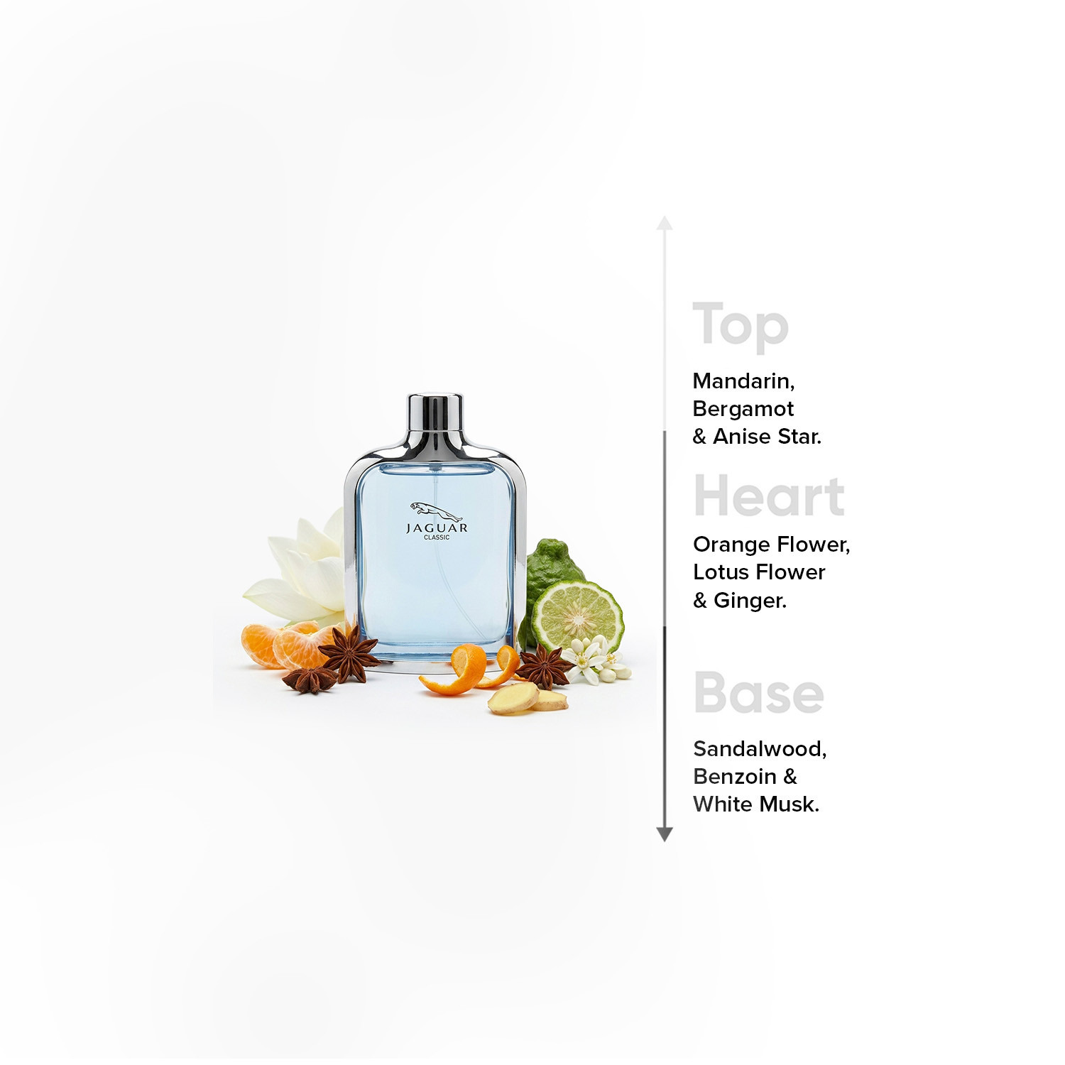جاكوار كلاسيك بلو ناتشرال سبراي للرجال - 100 مل-beautyandpersonalcare-fragrance-men-image-4