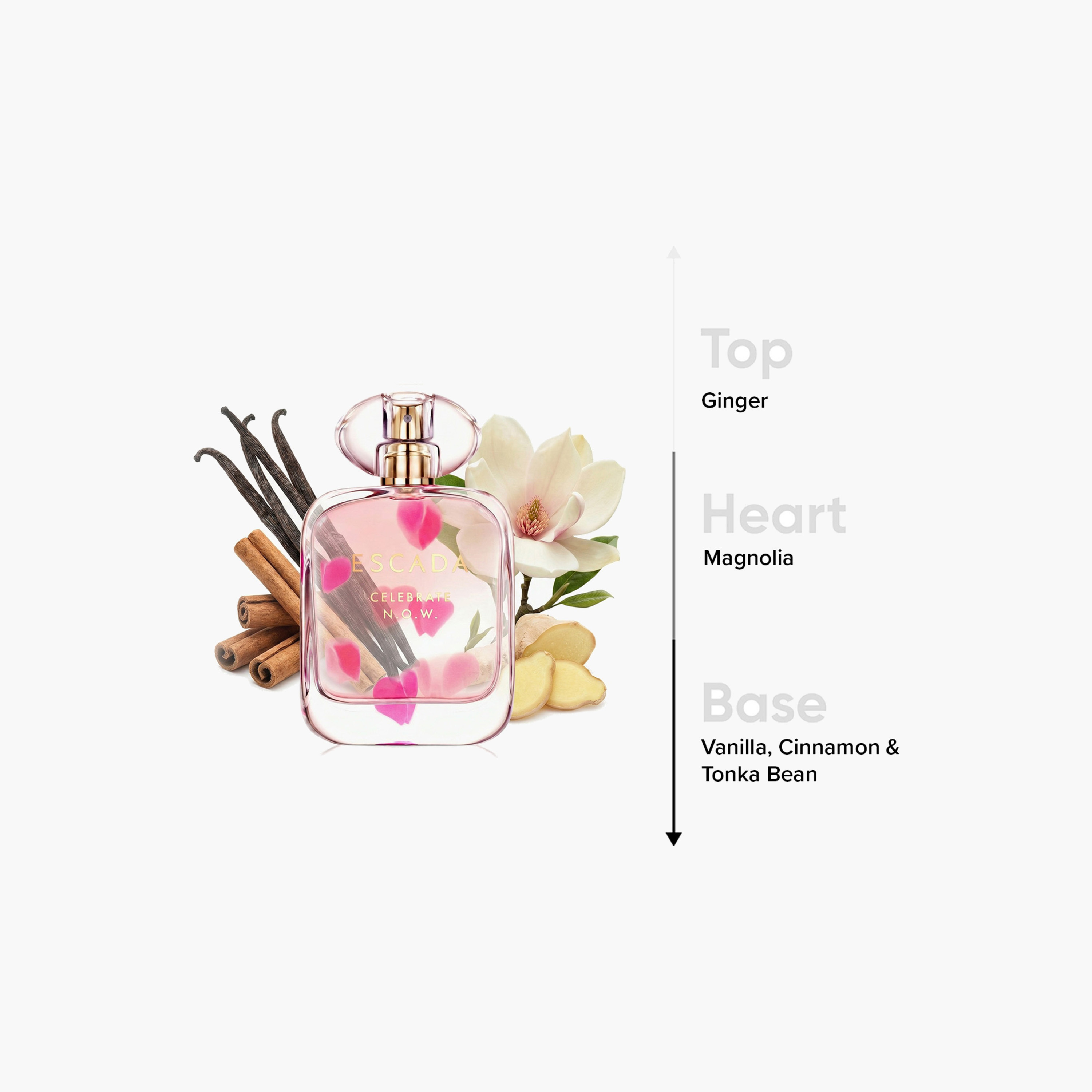 Escada Celebrate N.O.W Eau de Parfum Spray for Women - 80 ml-beautyandpersonalcare-fragrance-women-image-4