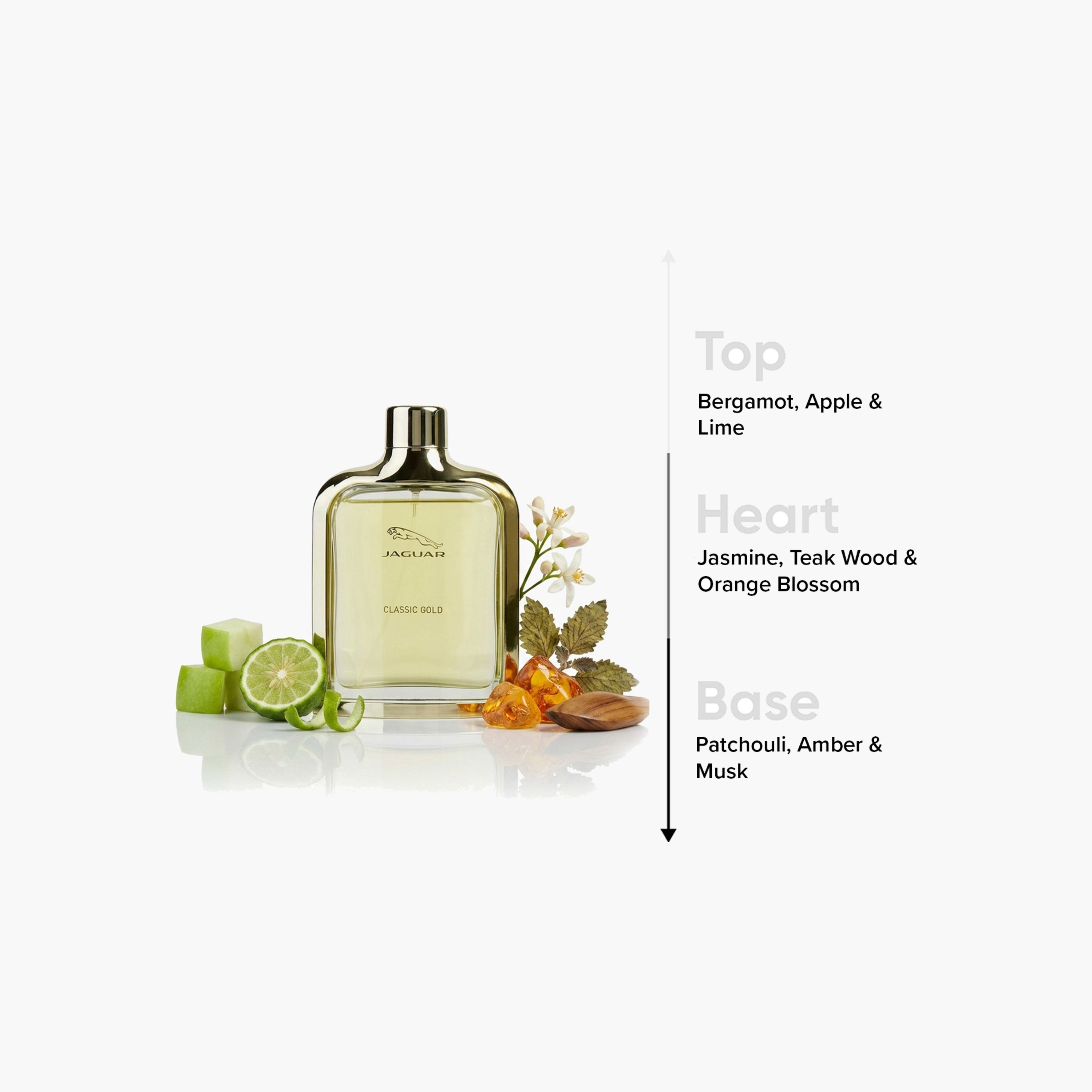 سبراي اودوتواليت للرجال من جاجوار كلاسيك جولد- 100 مل-beautyandpersonalcare-fragrance-men-image-4