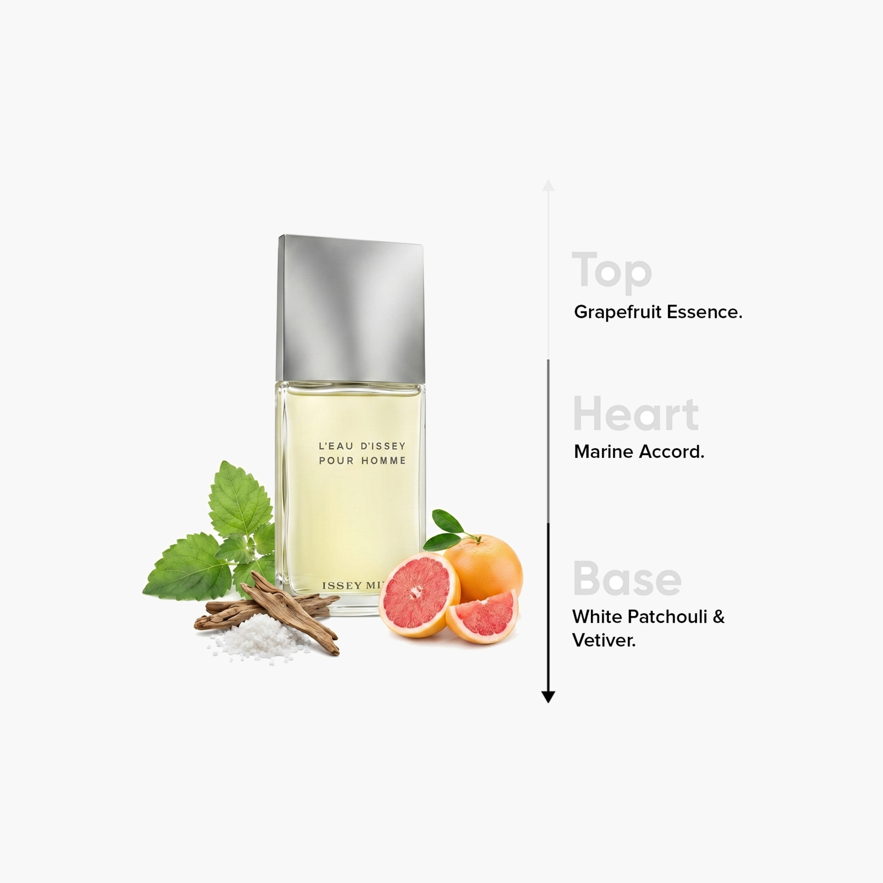 Issey Miyake L'Eau D'Issey  Eau De Toilette Spray for Men - 75 ml-beautyandpersonalcare-fragrance-men-image-4