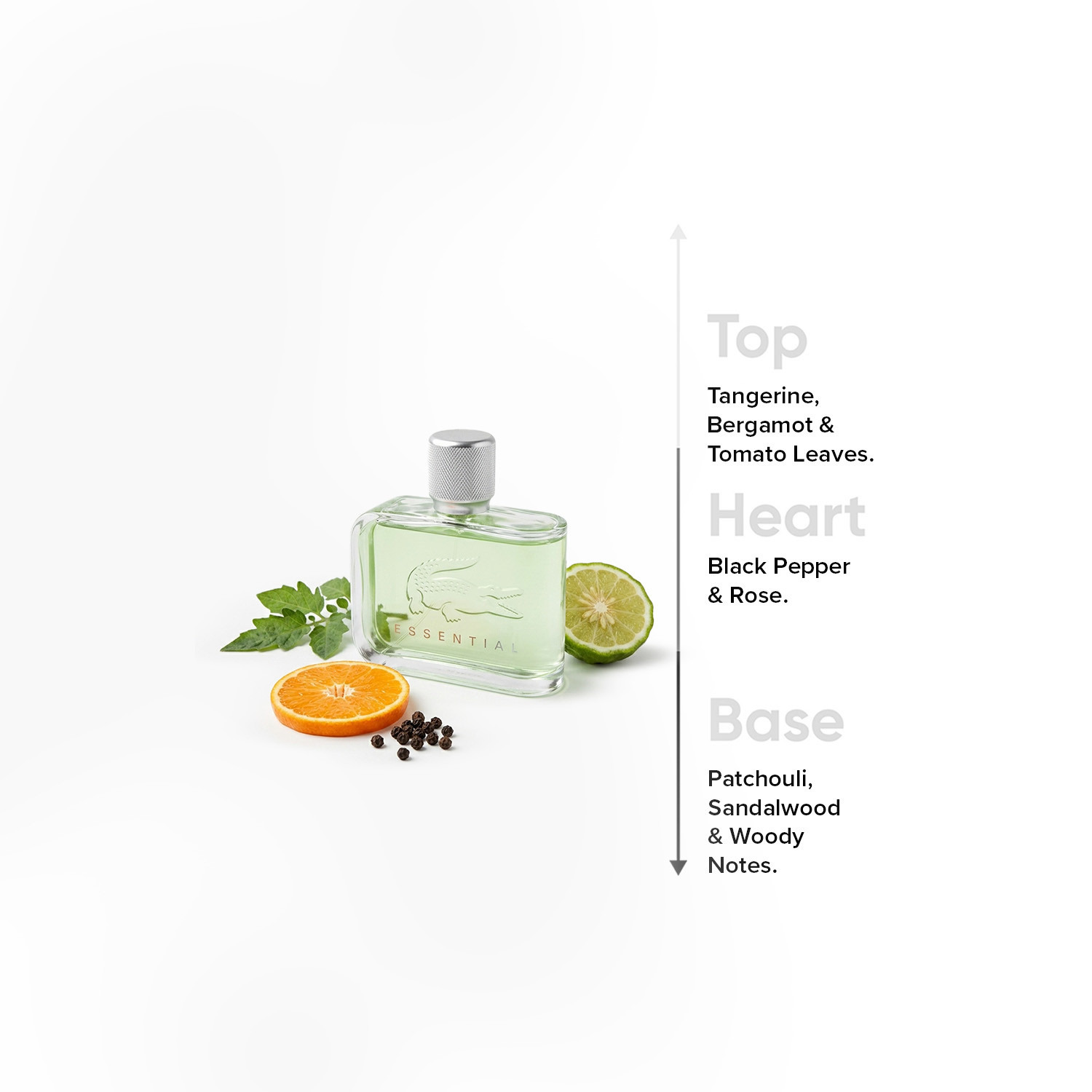 Lacoste Men's Essential Eau de Toilette Spray - 125 ml-beautyandpersonalcare-fragrance-men-image-4