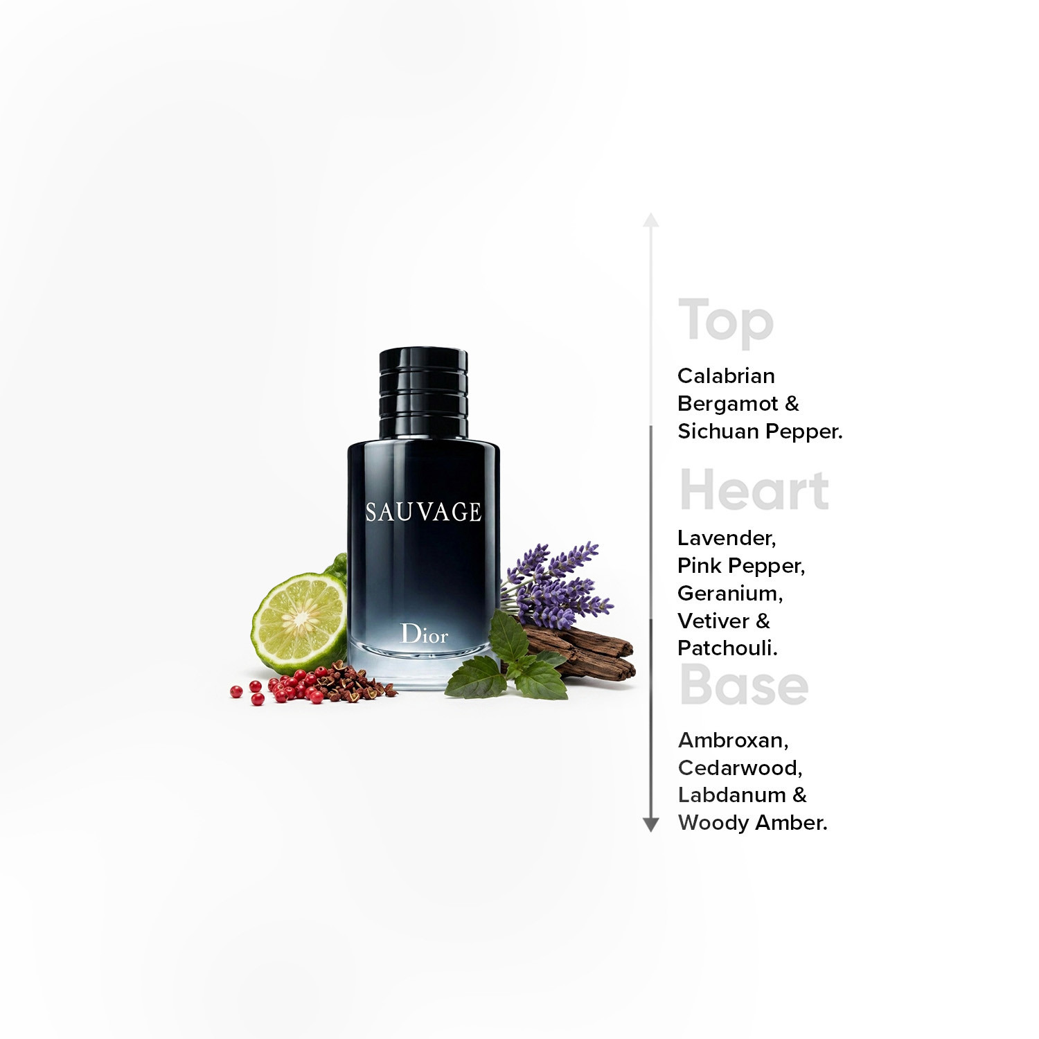 بخاخ أو دو تواليت سوفاج بلاك للرجال من كريستيان ديور- 100 مل-beautyandpersonalcare-fragrance-men-image-4