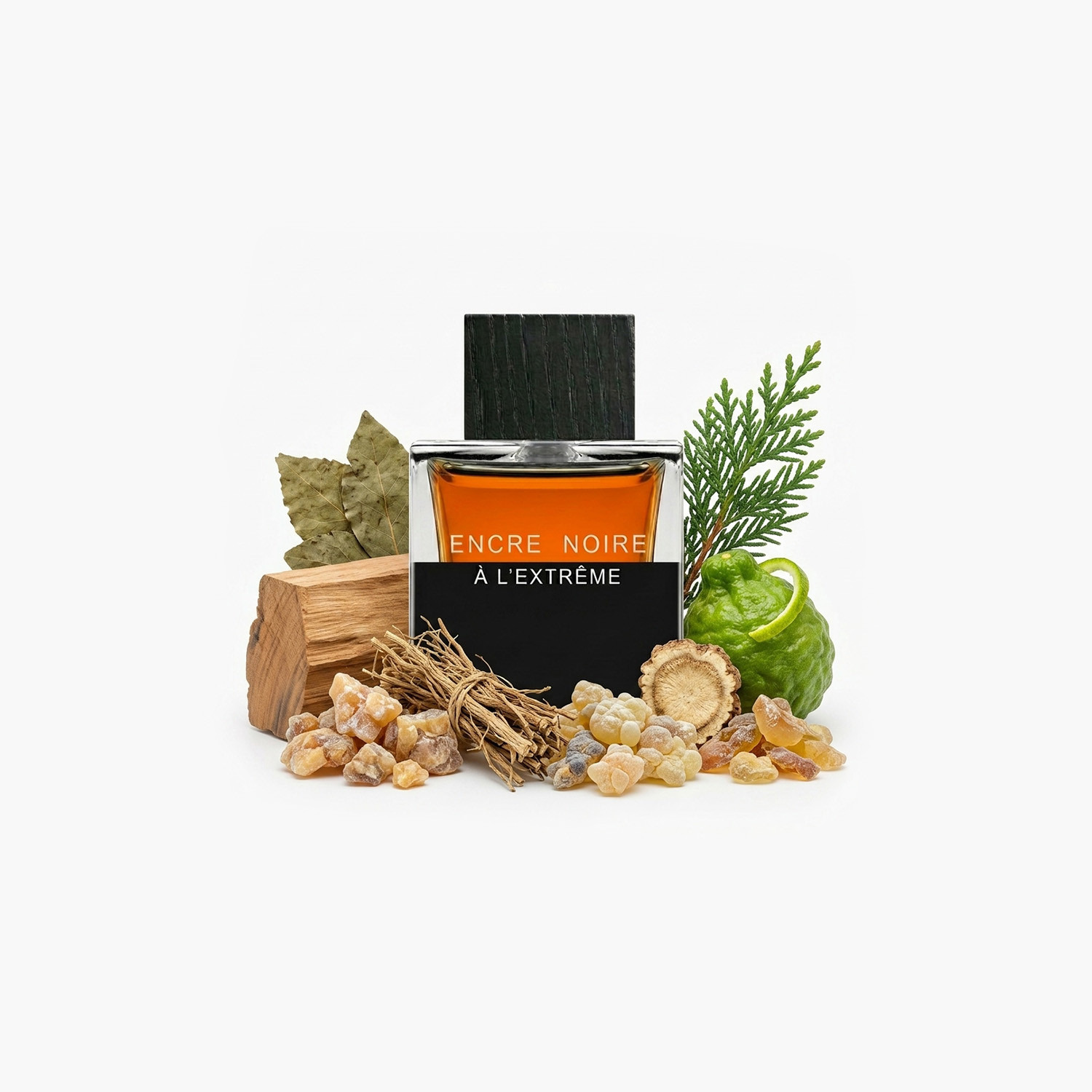 أو دي برفيوم  أنكر نوار آ لاكستريم من لاليك - 100 مل-beautyandpersonalcare-fragrance-men-image-3