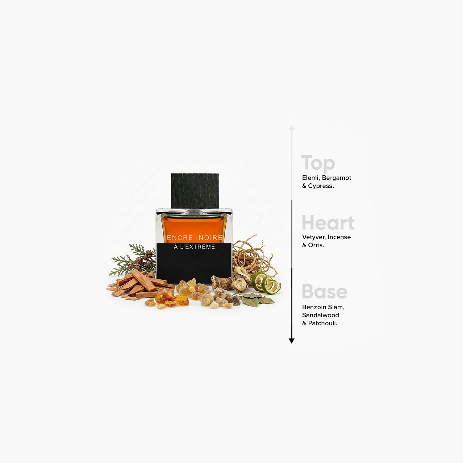 أو دي برفيوم  أنكر نوار آ لاكستريم من لاليك - 100 مل-beautyandpersonalcare-fragrance-men-image-4